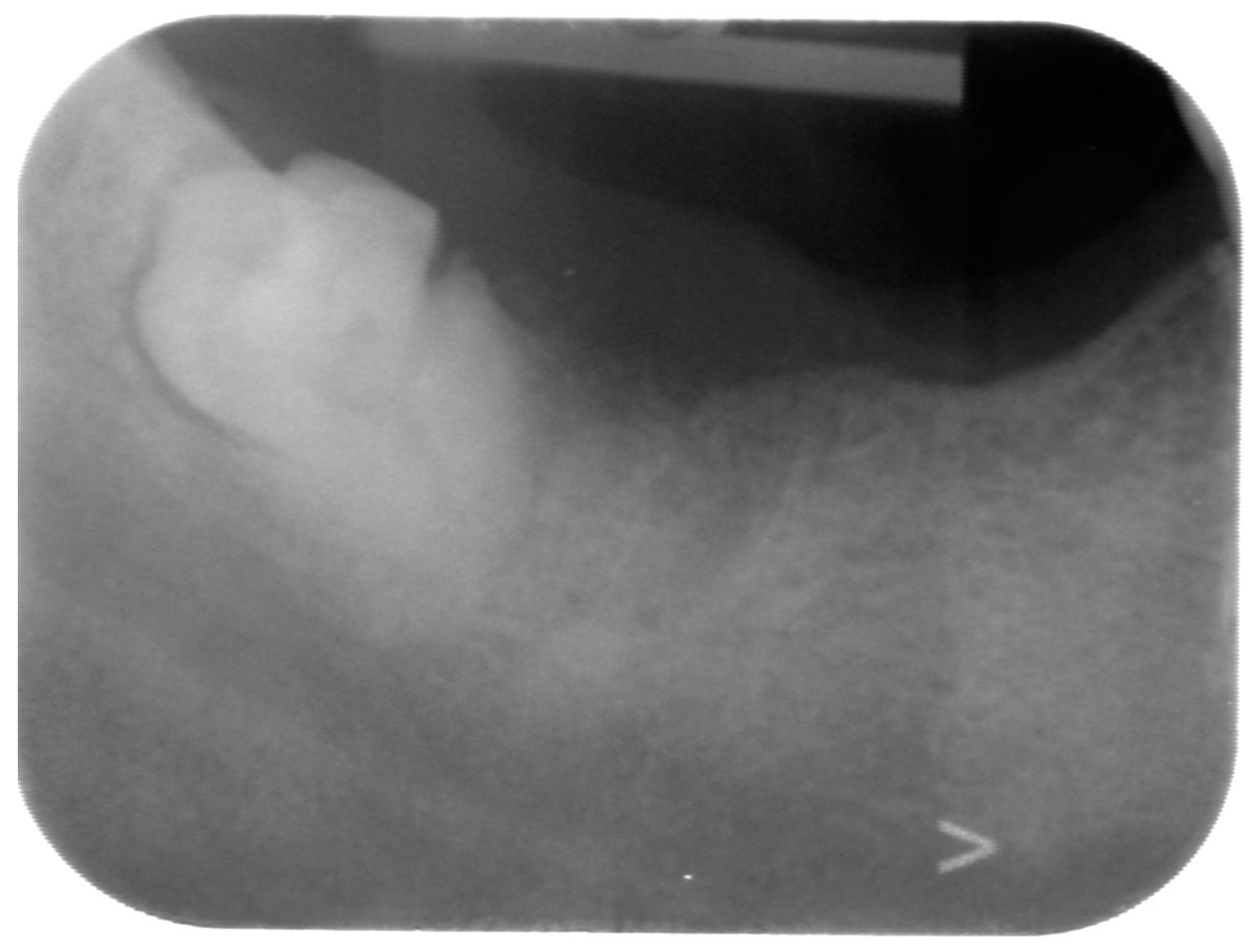 Reports 07 00050 g001