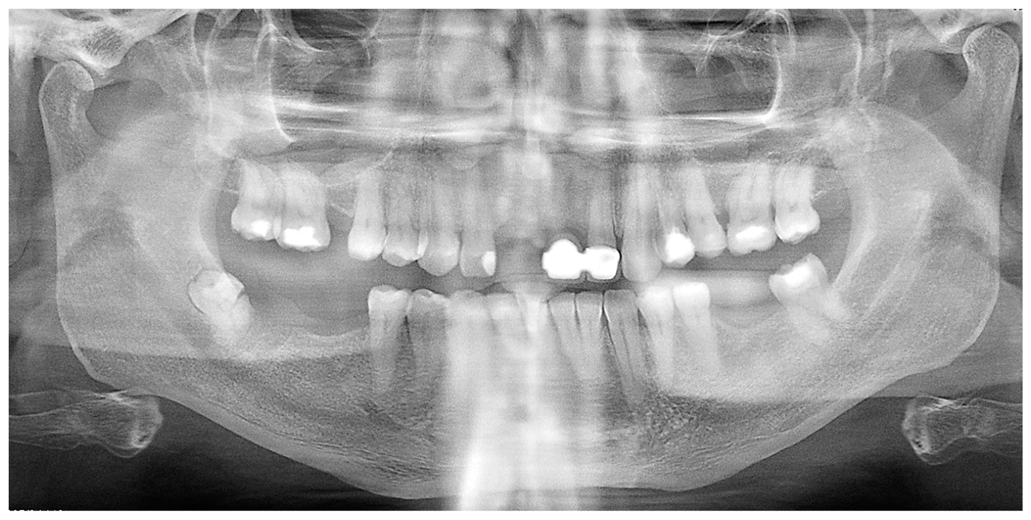 Reports 07 00050 g002