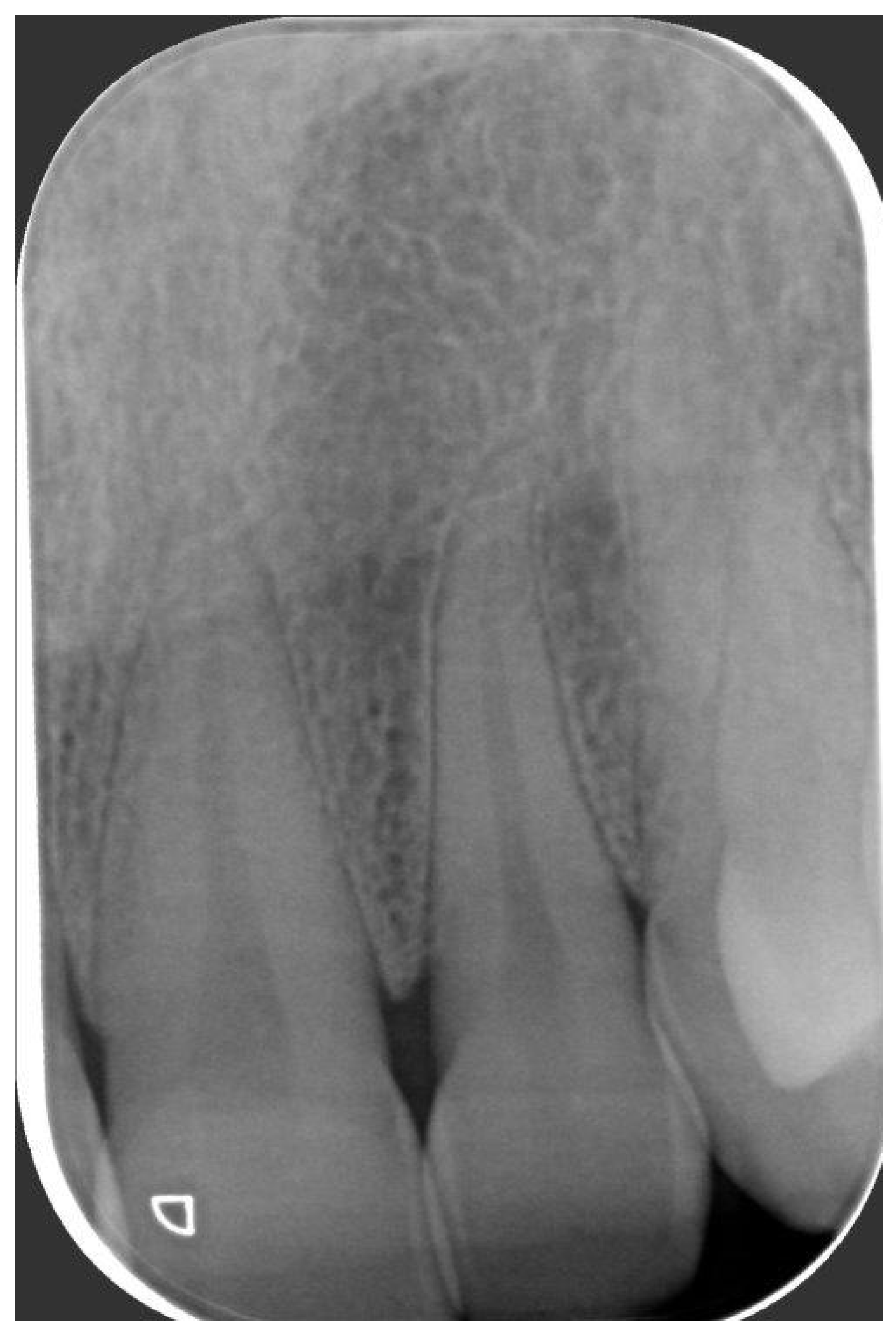 Reports 07 00051 g002 Reports 07 00051 g002