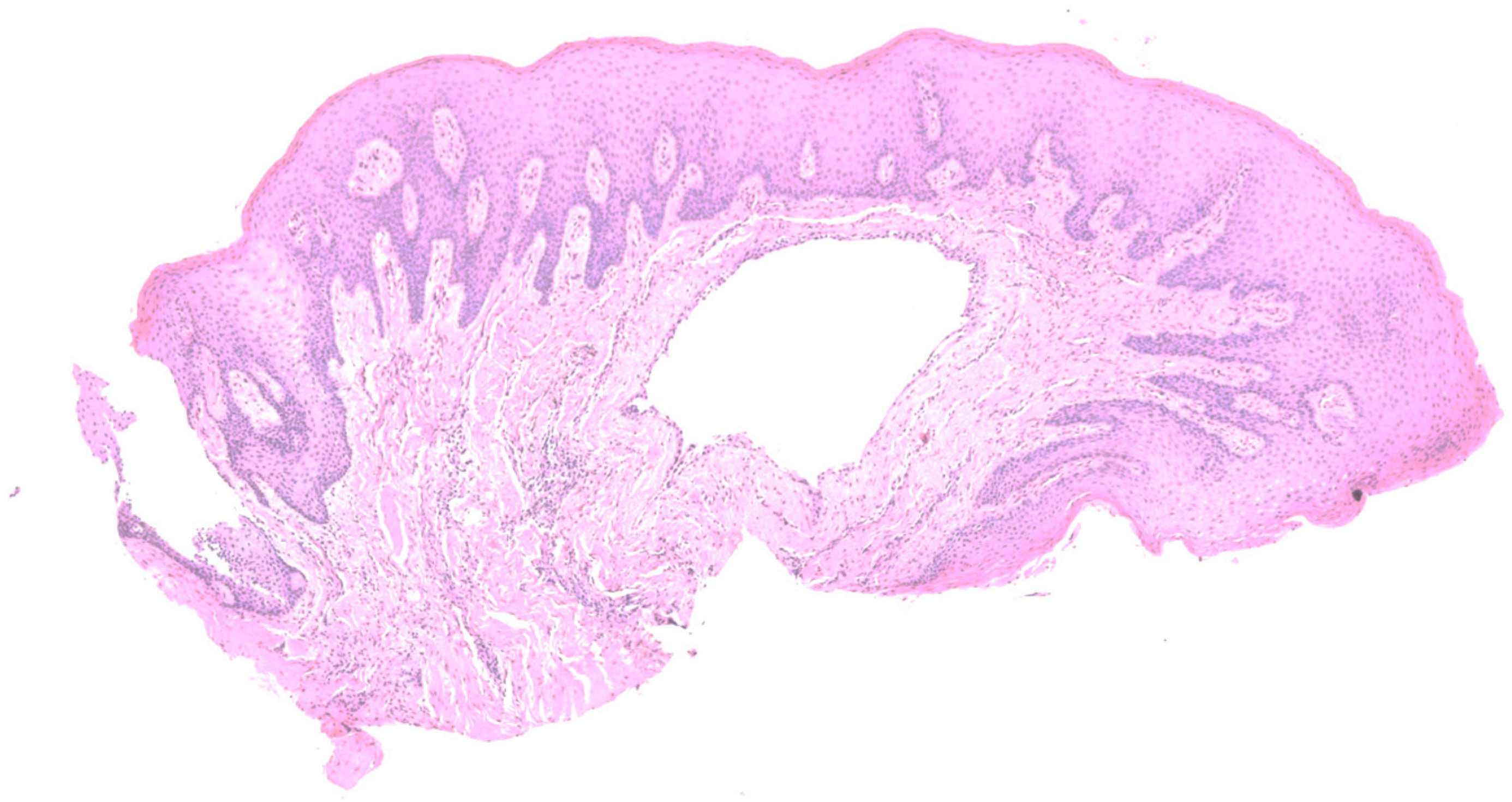 Reports 07 00051 g003 Reports 07 00051 g003