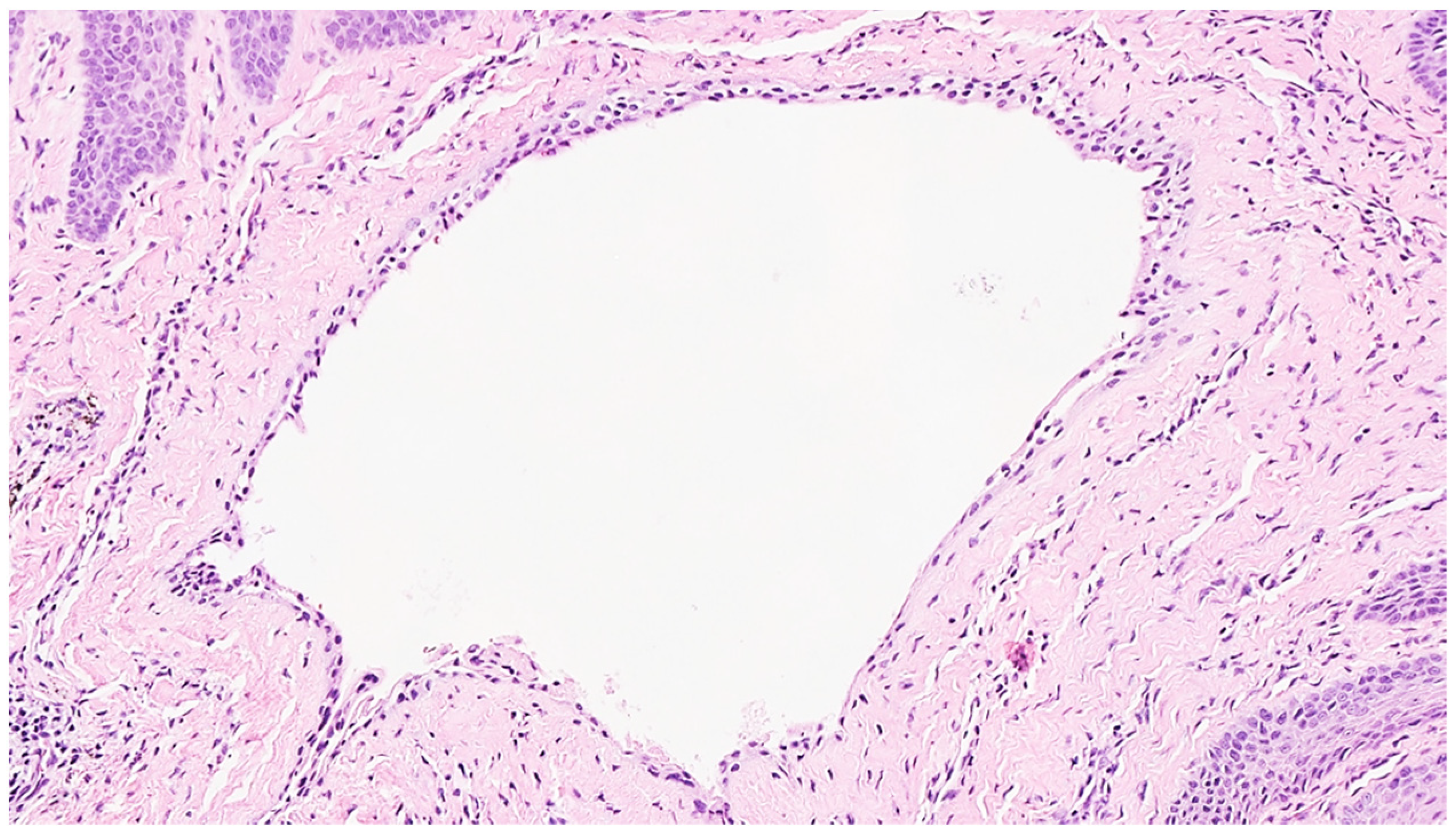 Reports 07 00051 g004 Reports 07 00051 g004