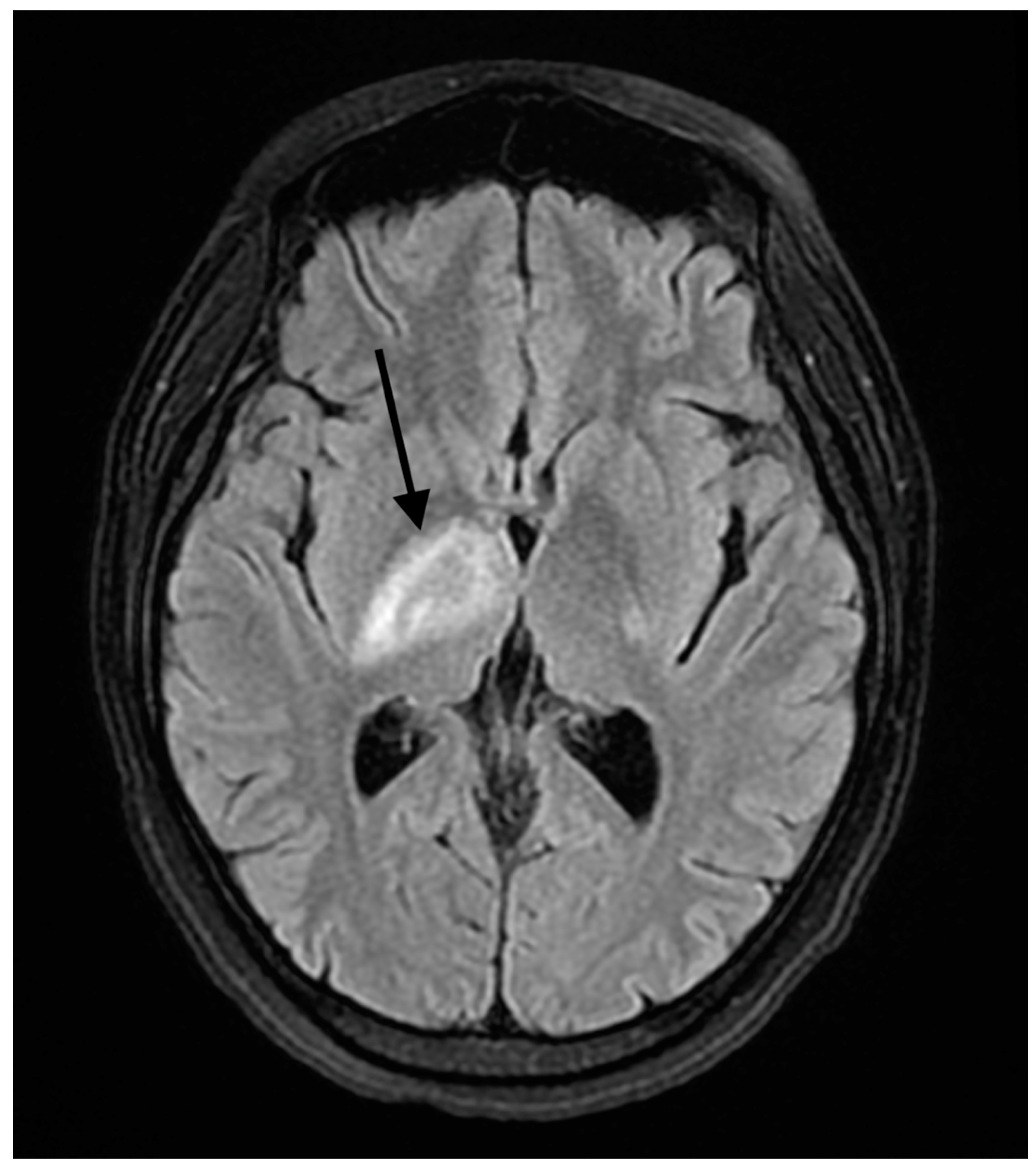 Reports 07 00053 g001