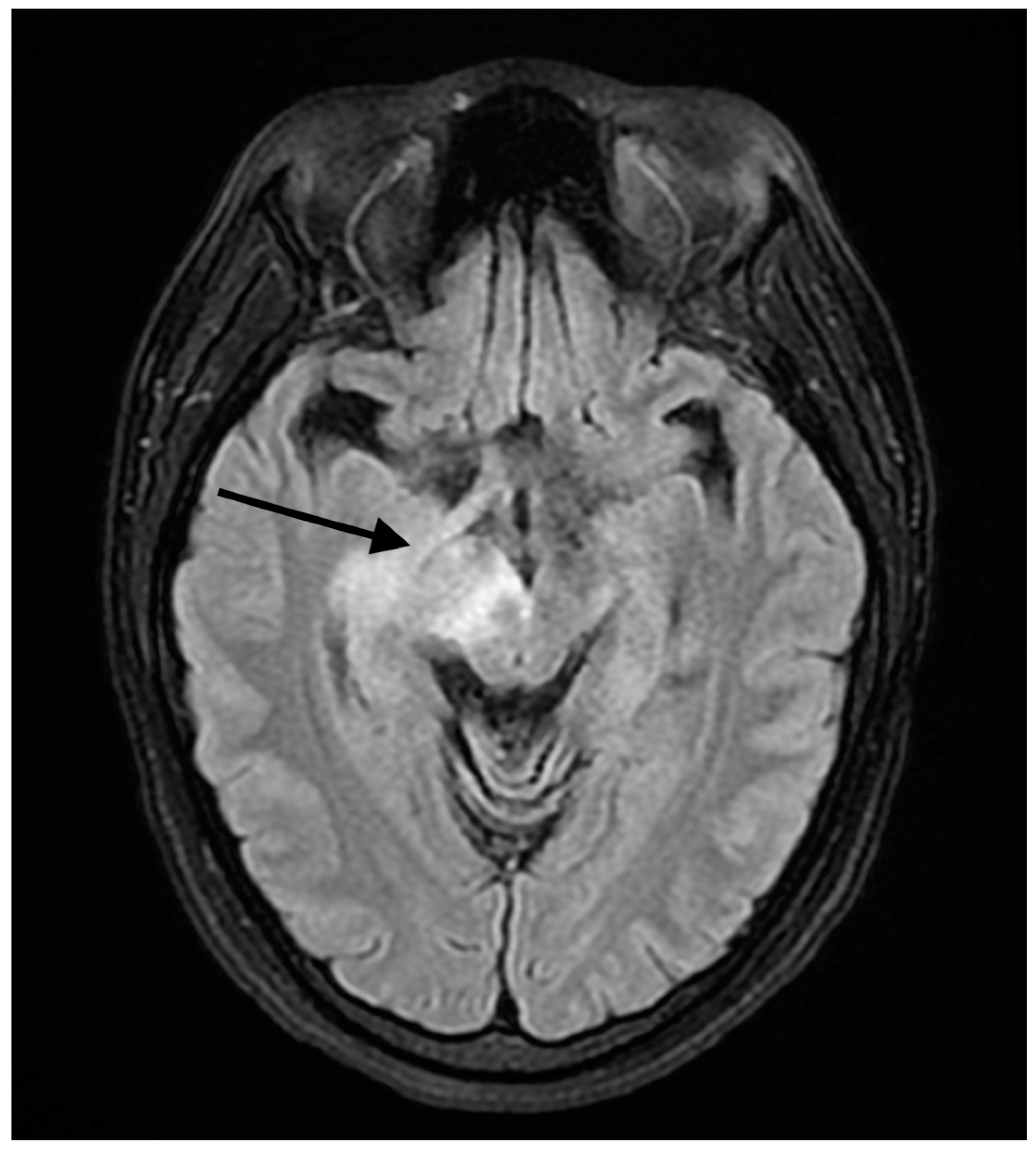 Reports 07 00053 g002