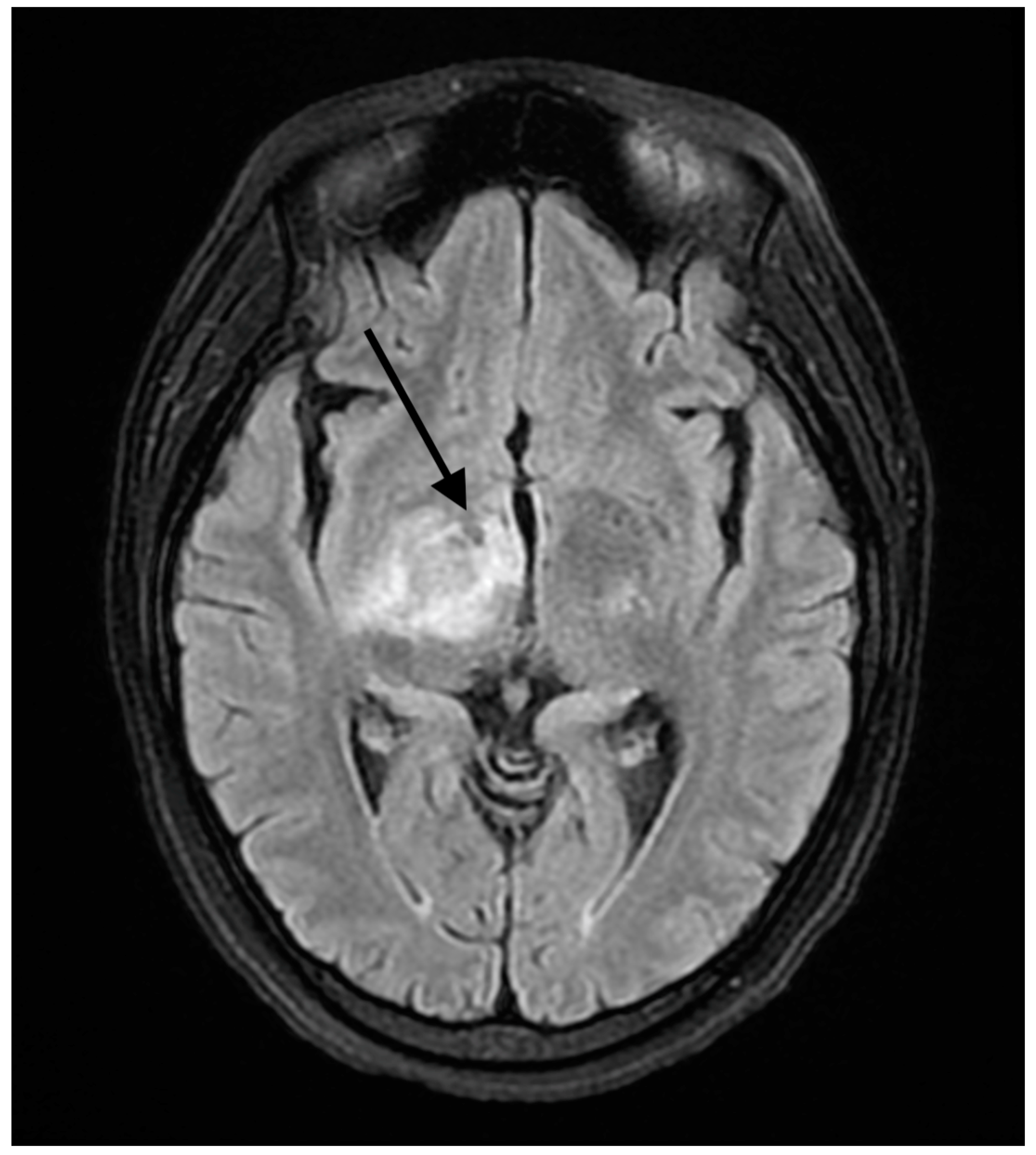 Reports 07 00053 g003