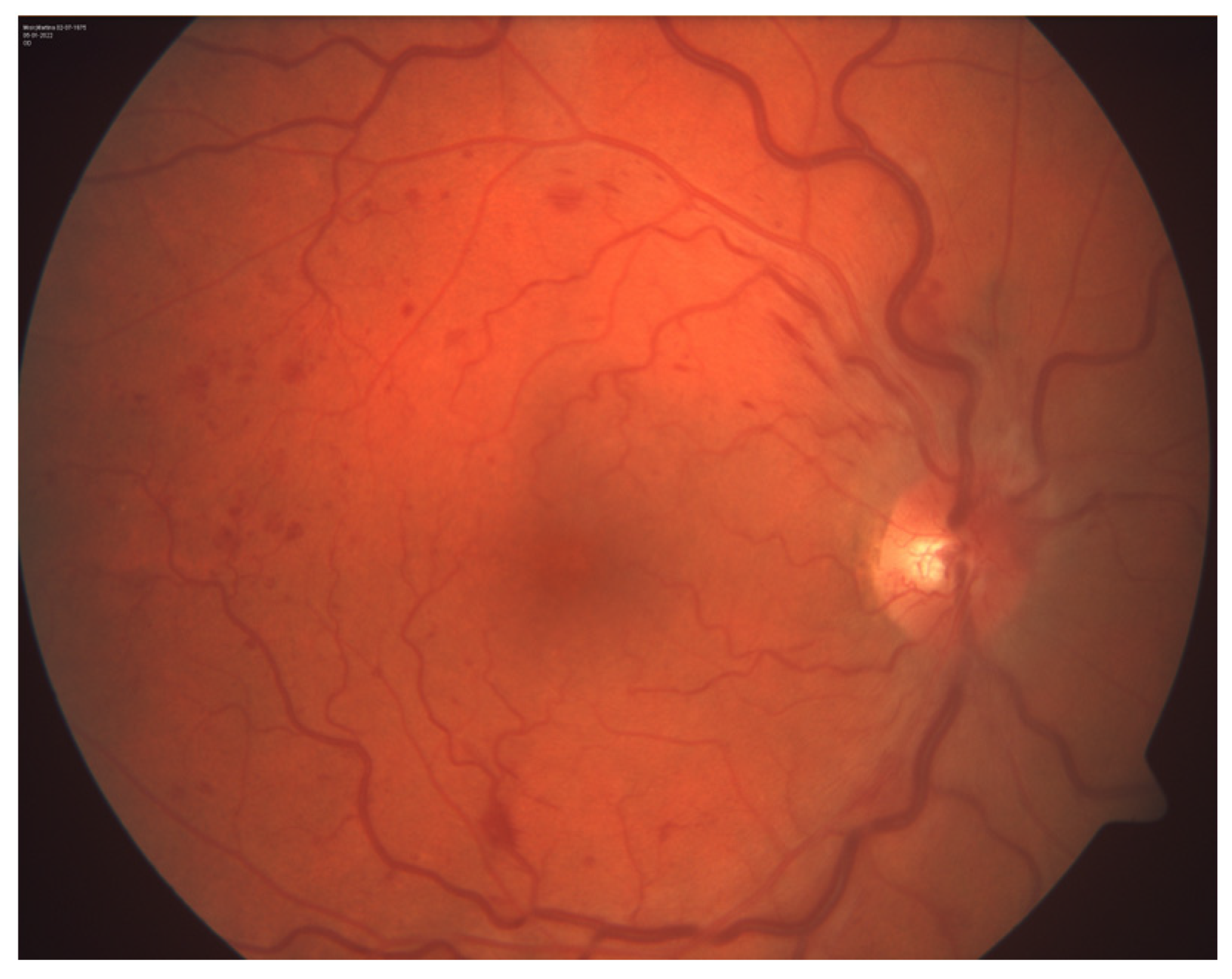 Reports 07 00055 g001