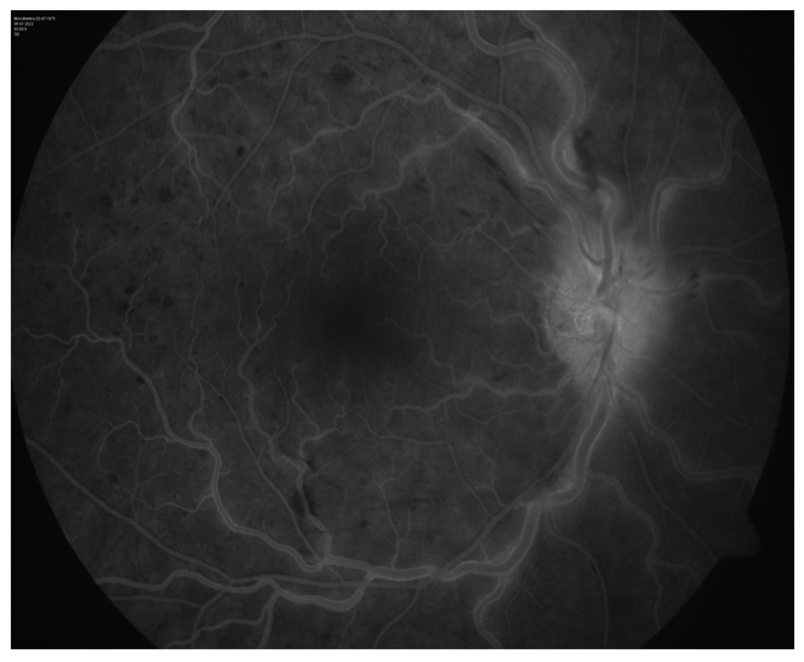 Reports 07 00055 g002