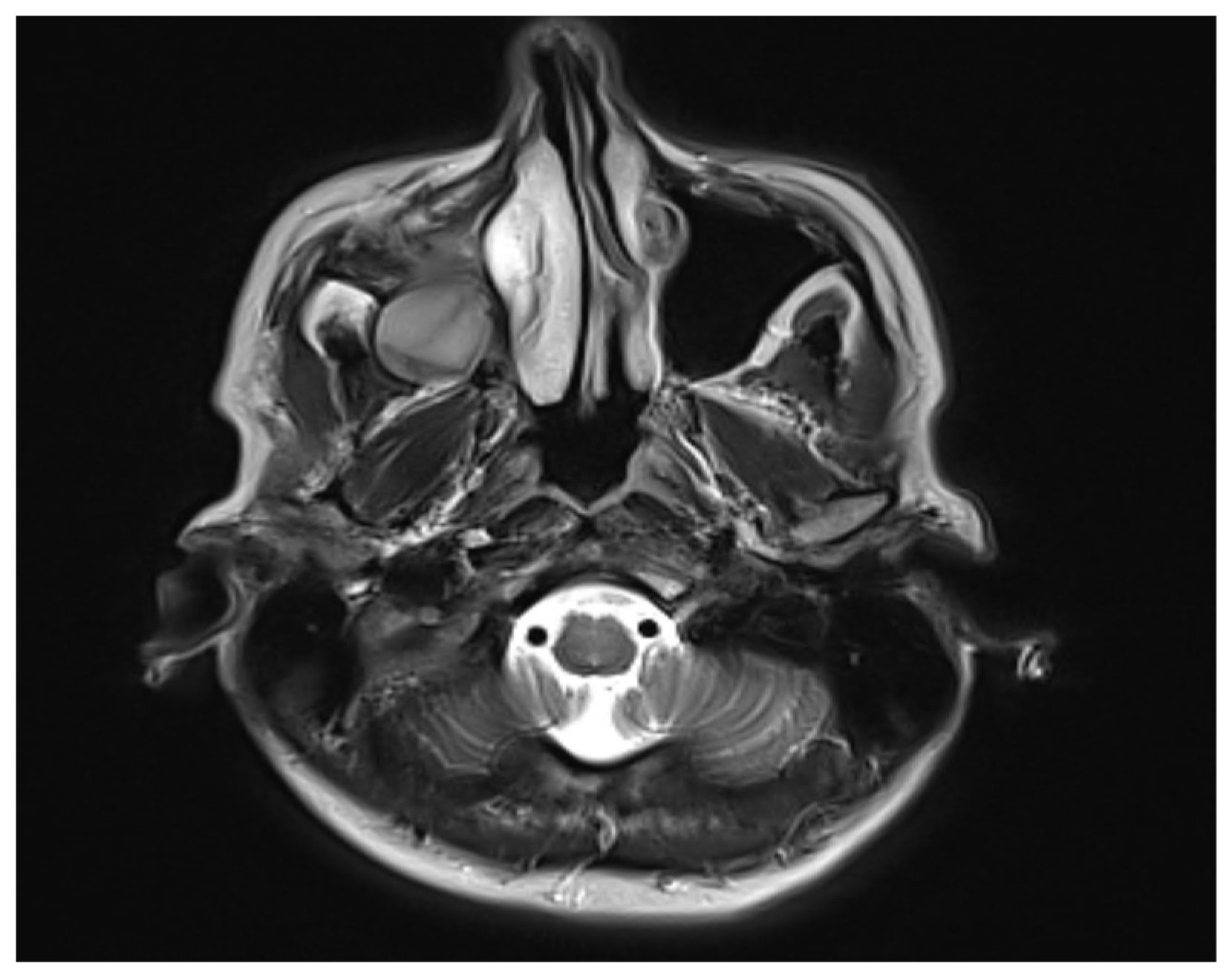 Reports 07 00055 g003