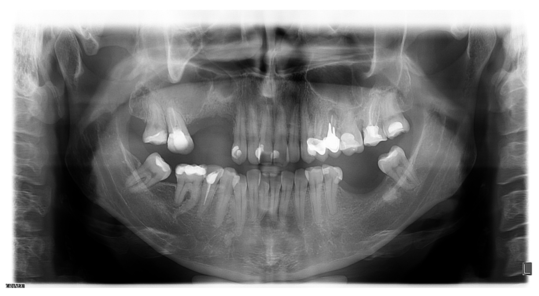 Reports 07 00055 g004