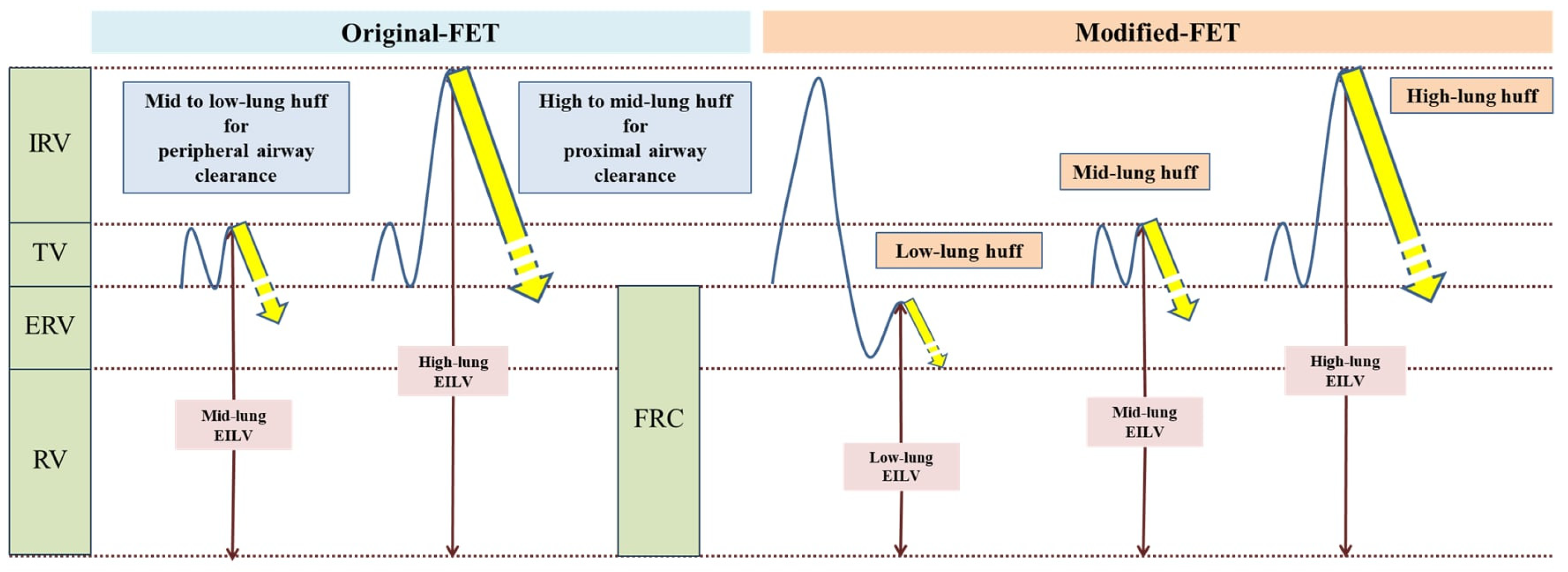 Reports 07 00057 g001