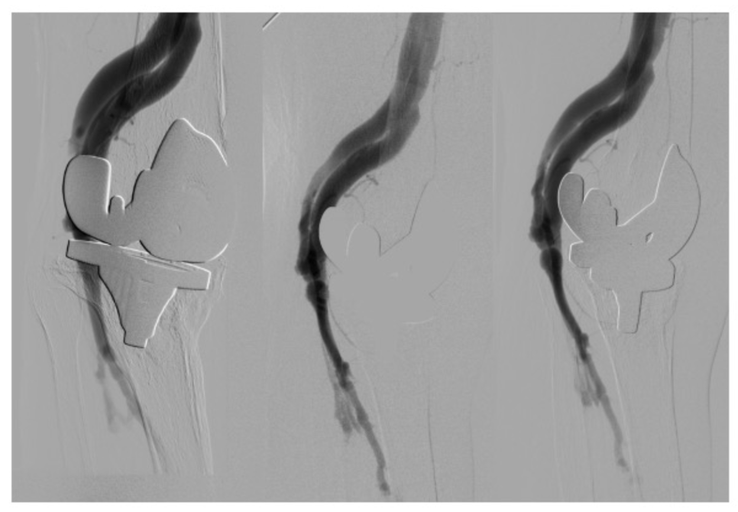 Reports 07 00059 g001