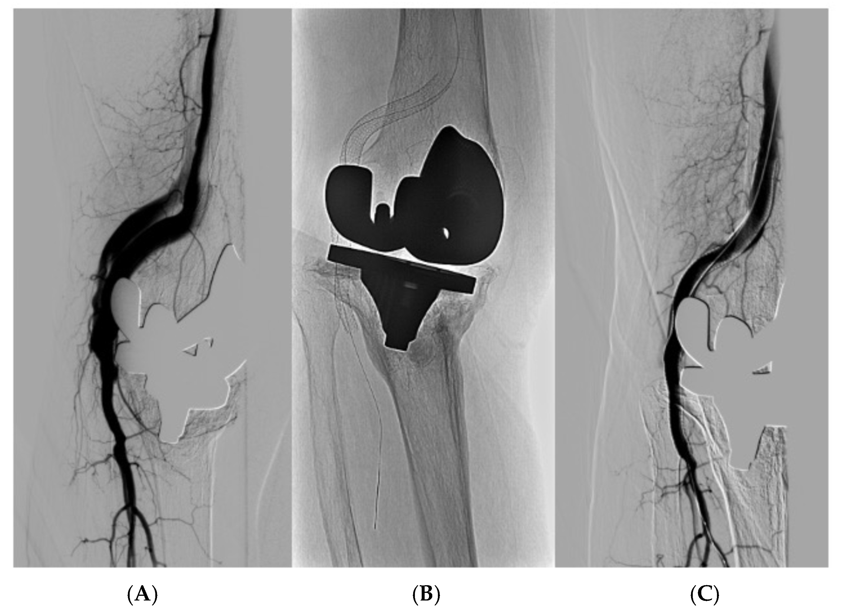 Reports 07 00059 g002