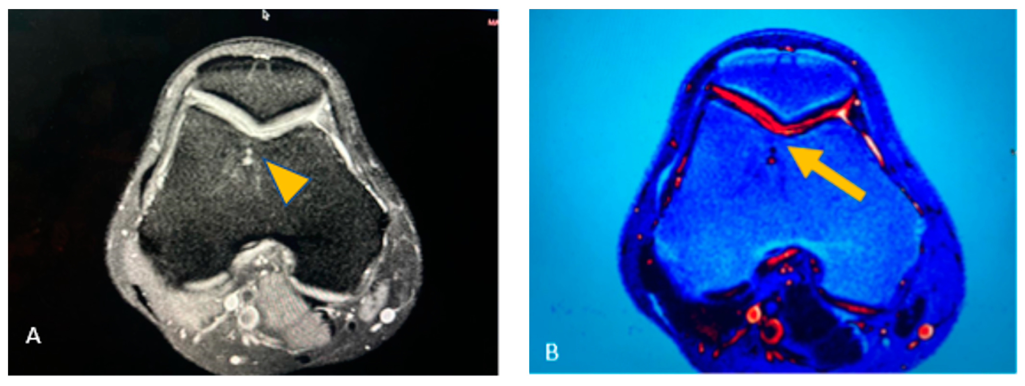 Reports 07 00062 g002