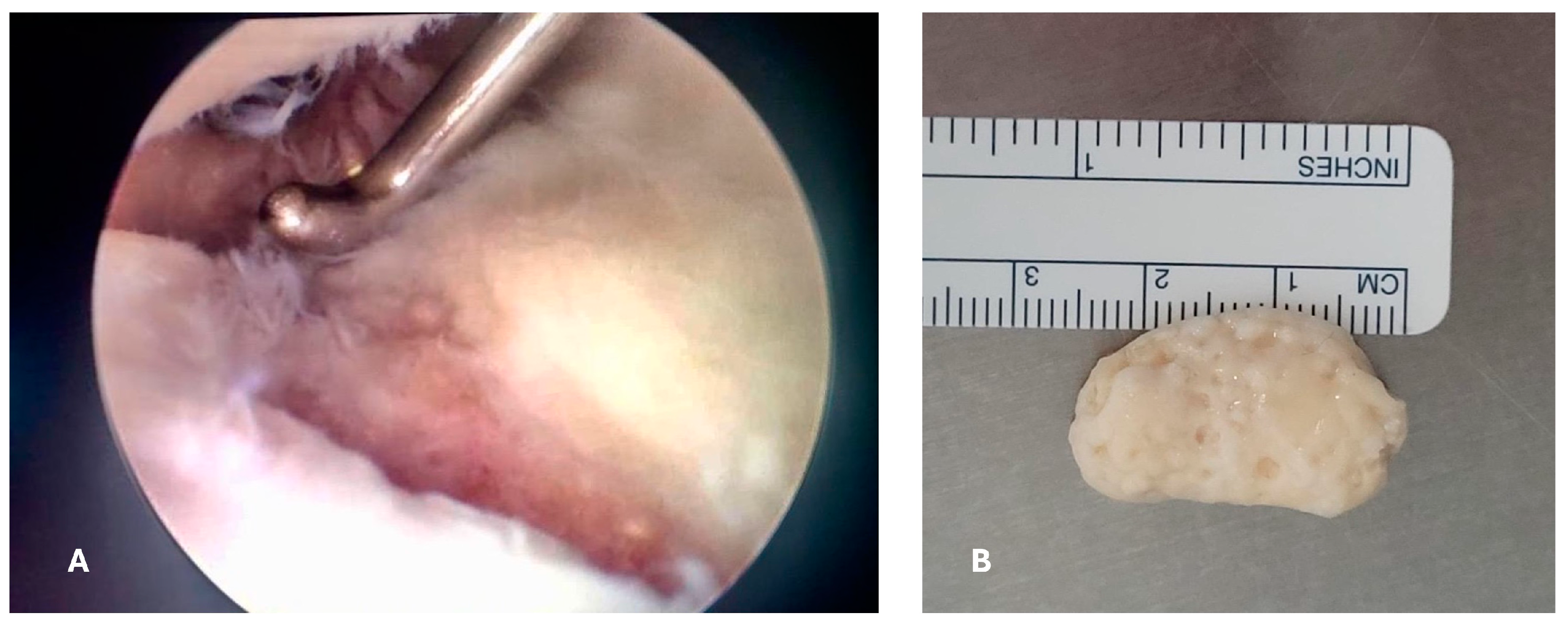 Reports 07 00062 g003