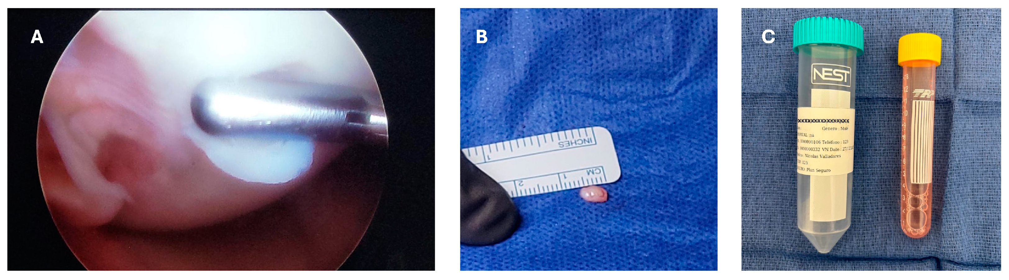 Reports 07 00062 g004