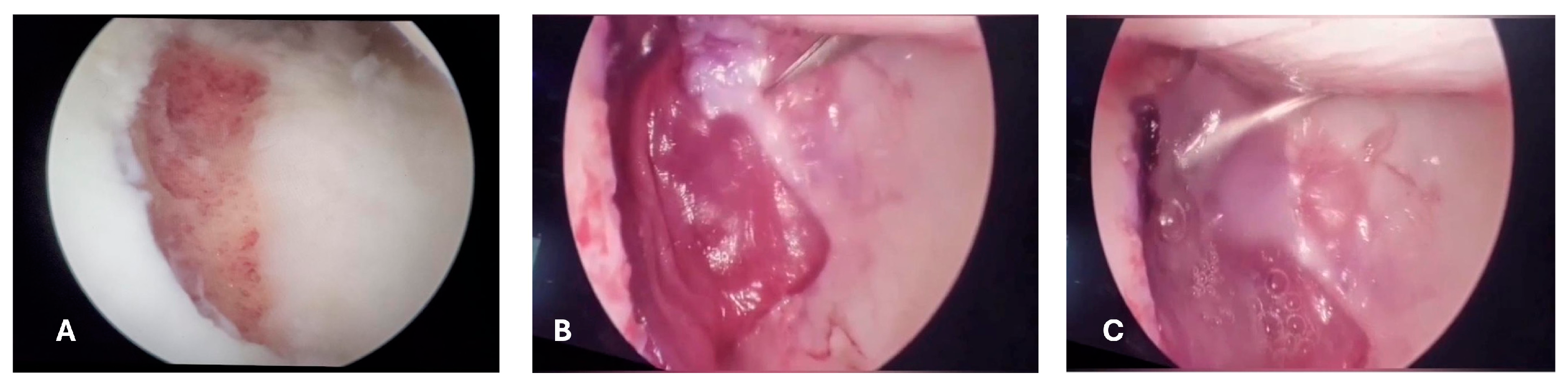 Reports 07 00062 g006