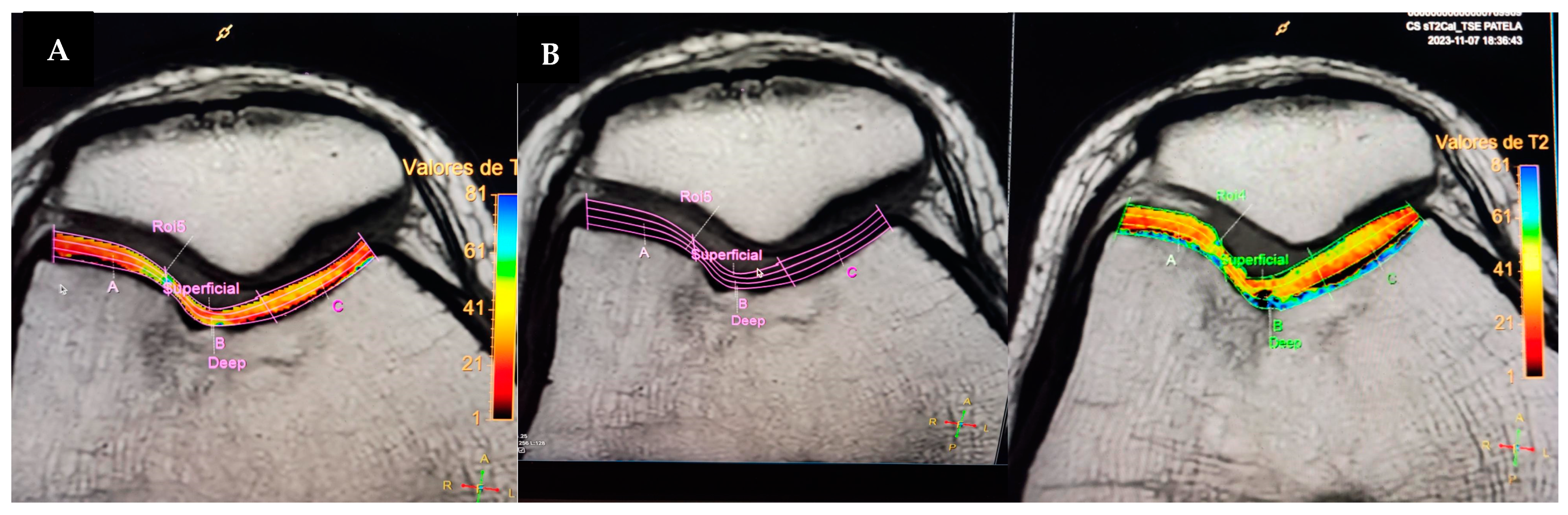 Reports 07 00062 g007
