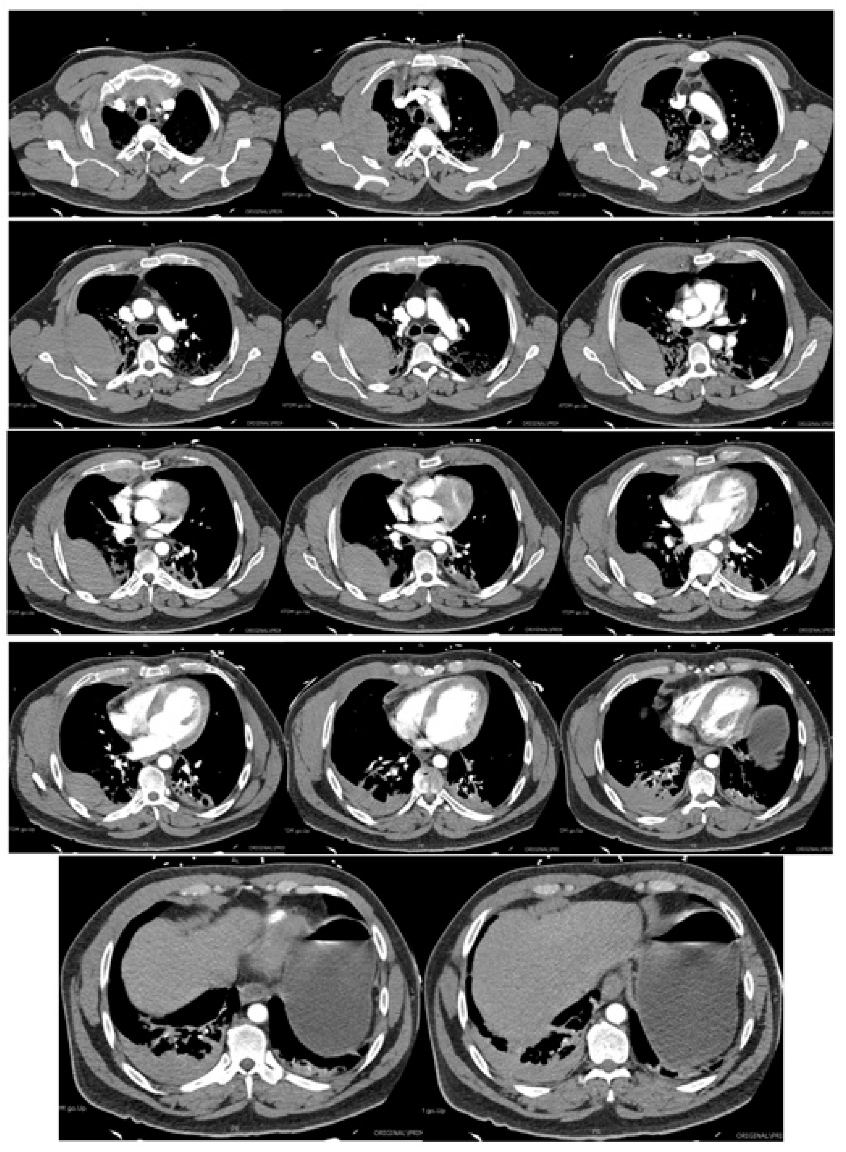 Reports 07 00069 g002