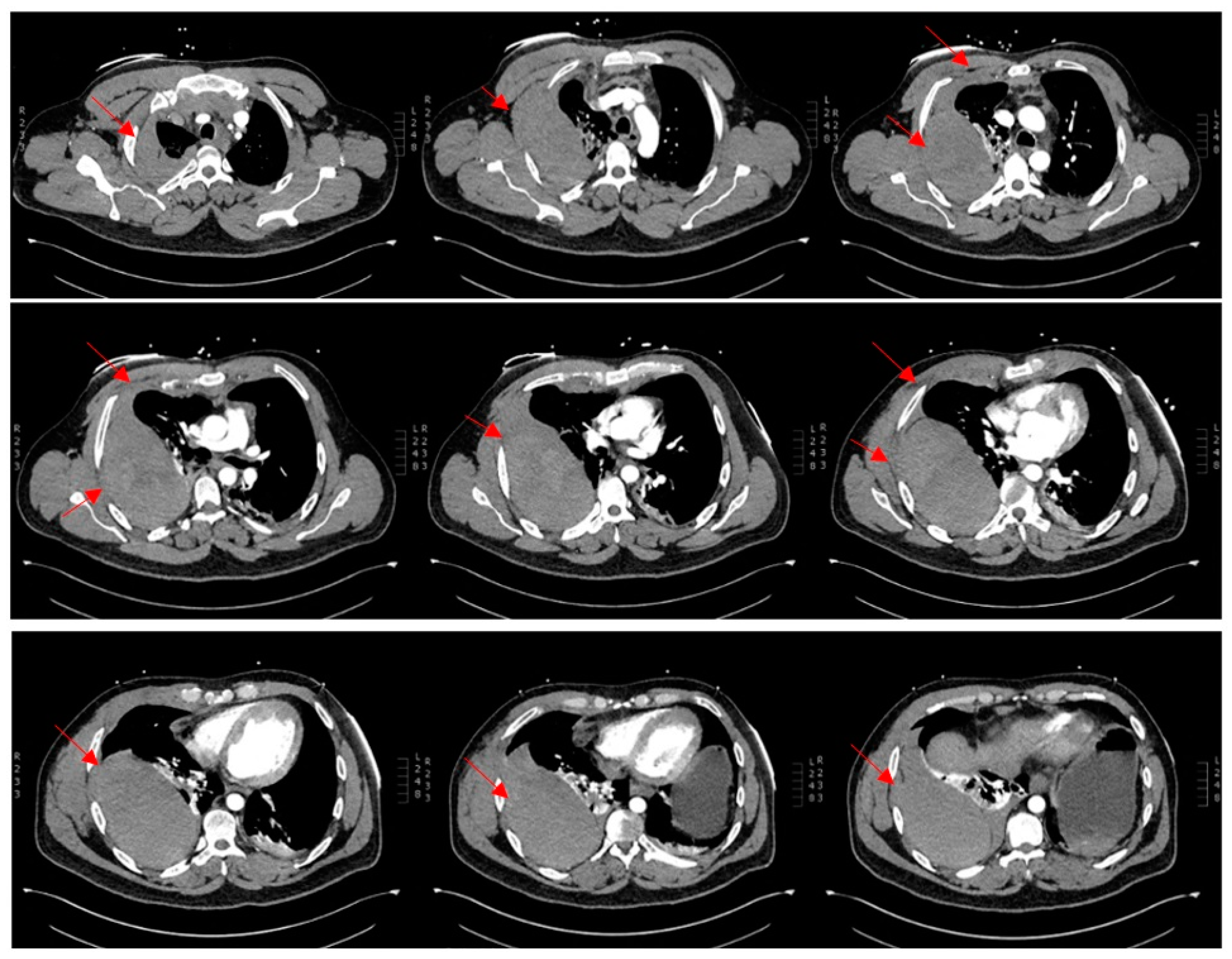 Reports 07 00069 g003