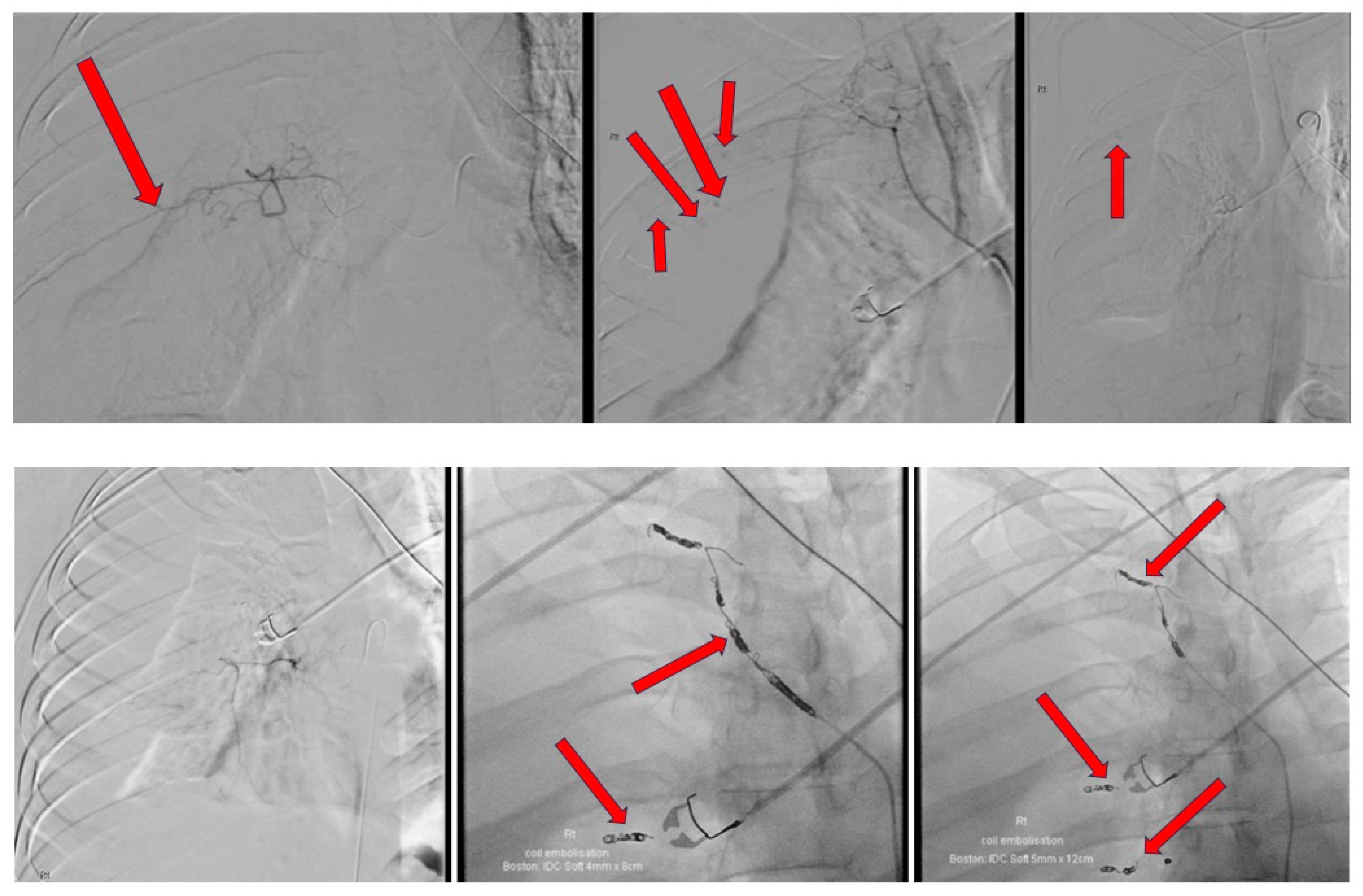 Reports 07 00069 g004