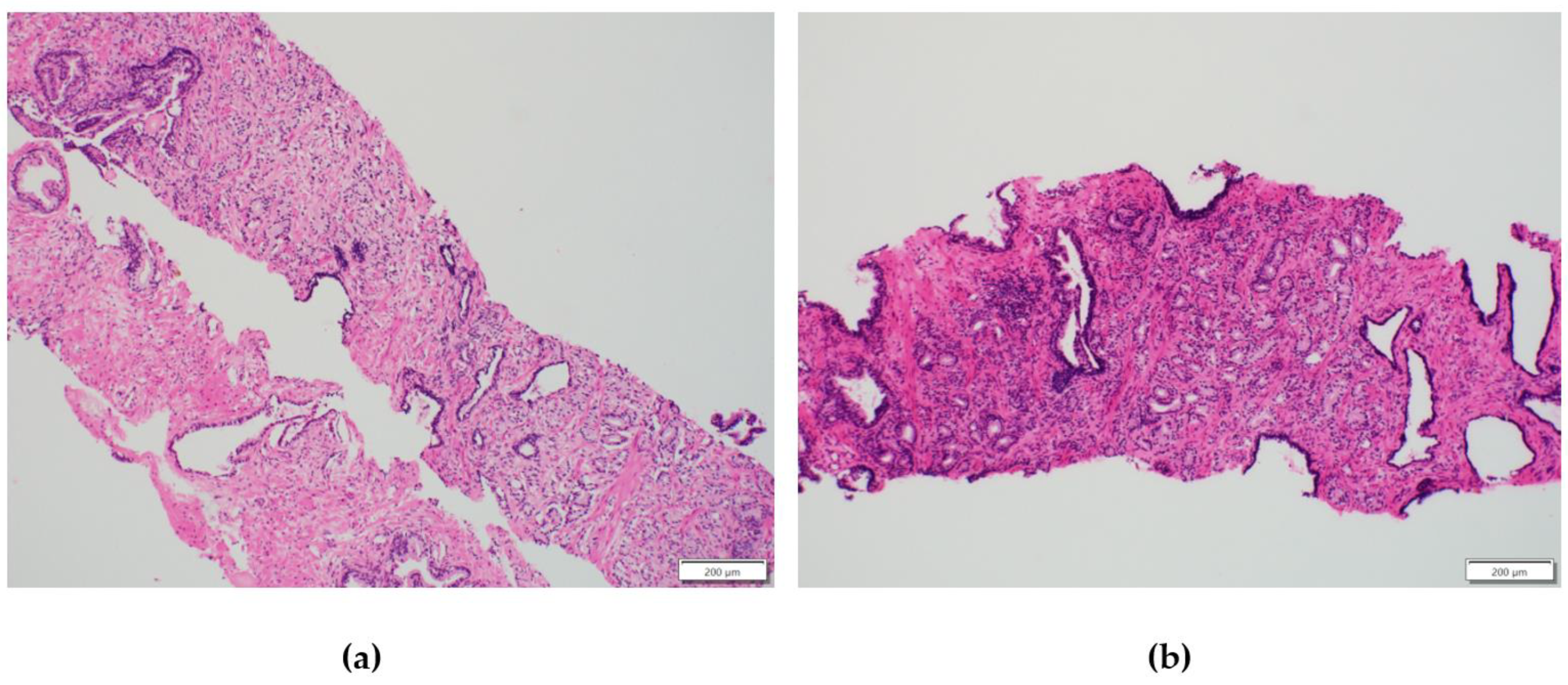 Reports 07 00070 g002