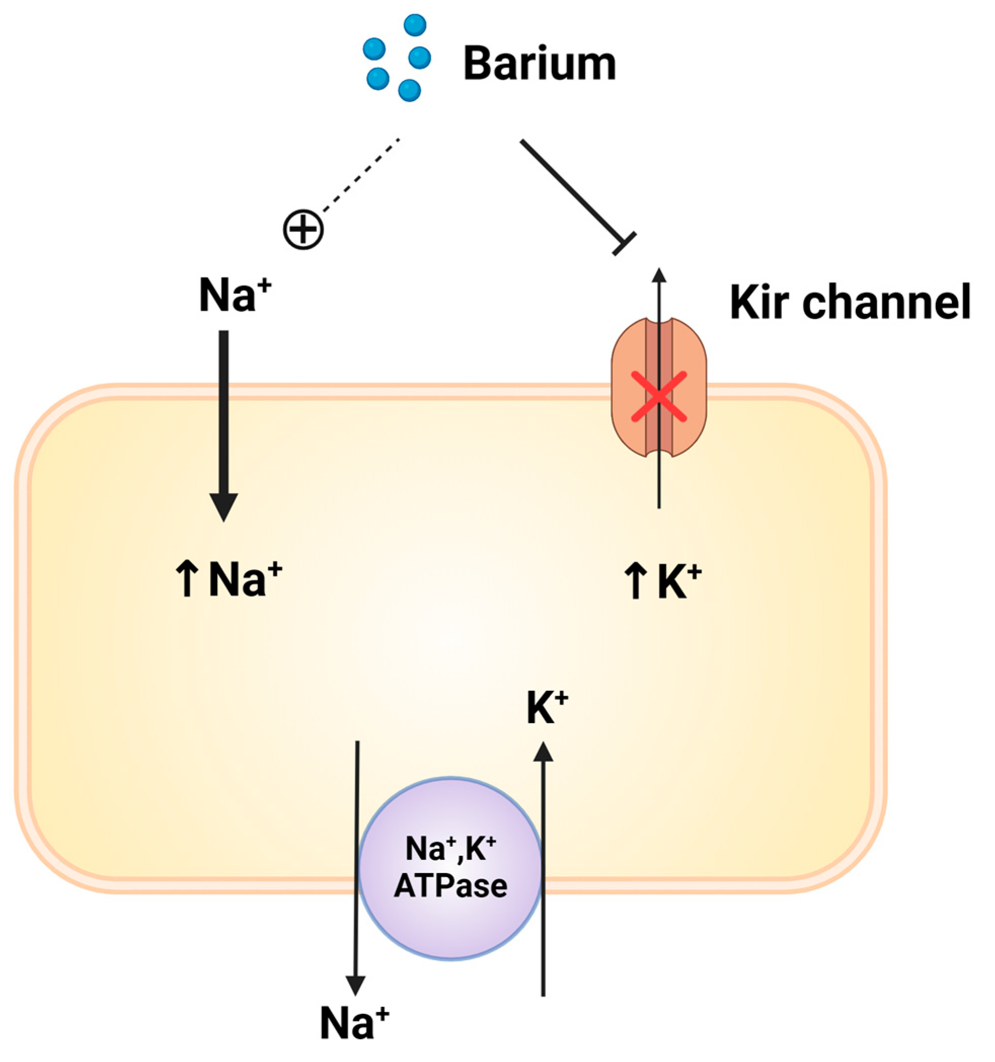 Reports 07 00072 g002 Reports 07 00072 g002