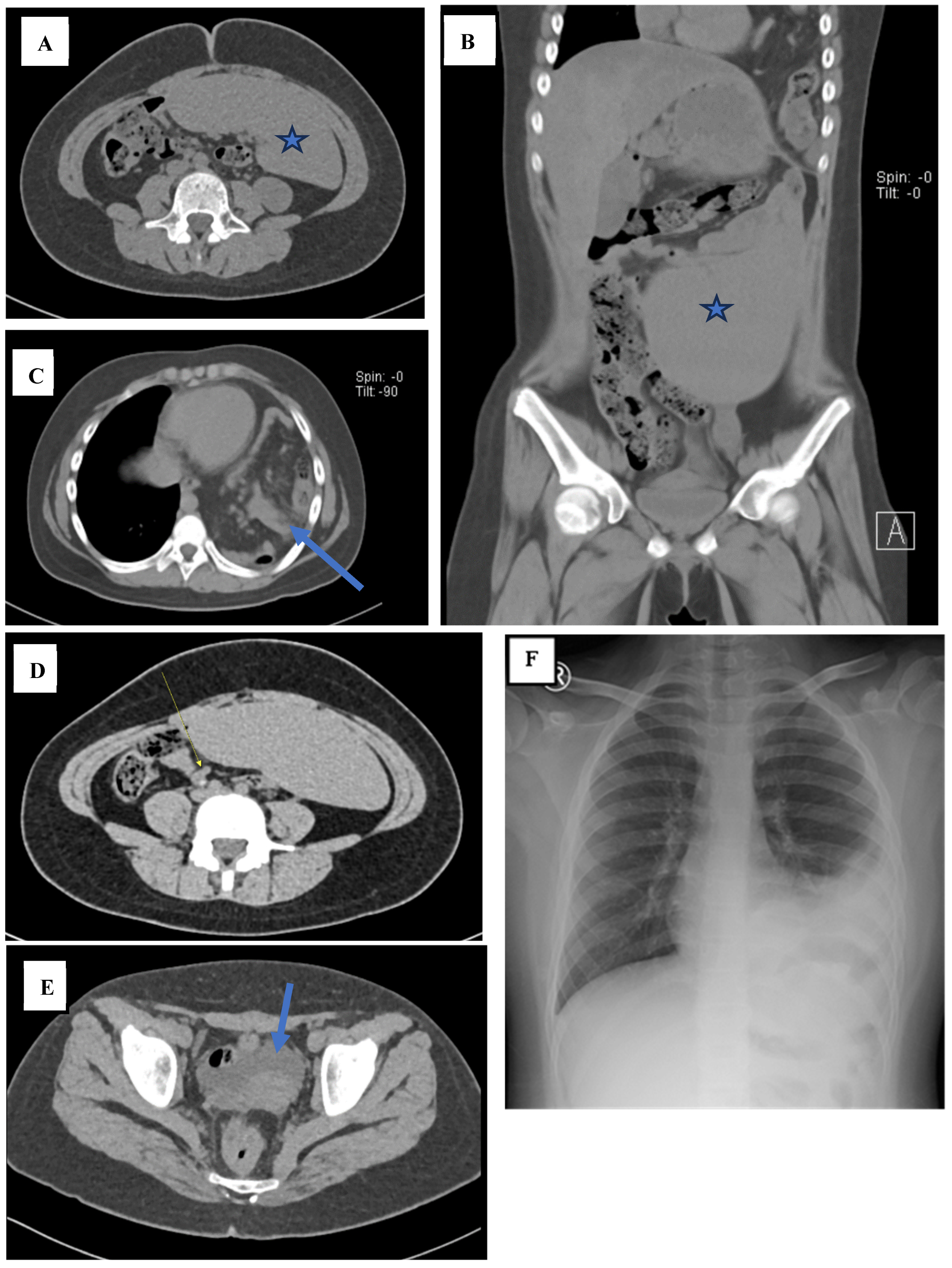 Reports 07 00073 g001 Reports 07 00073 g001