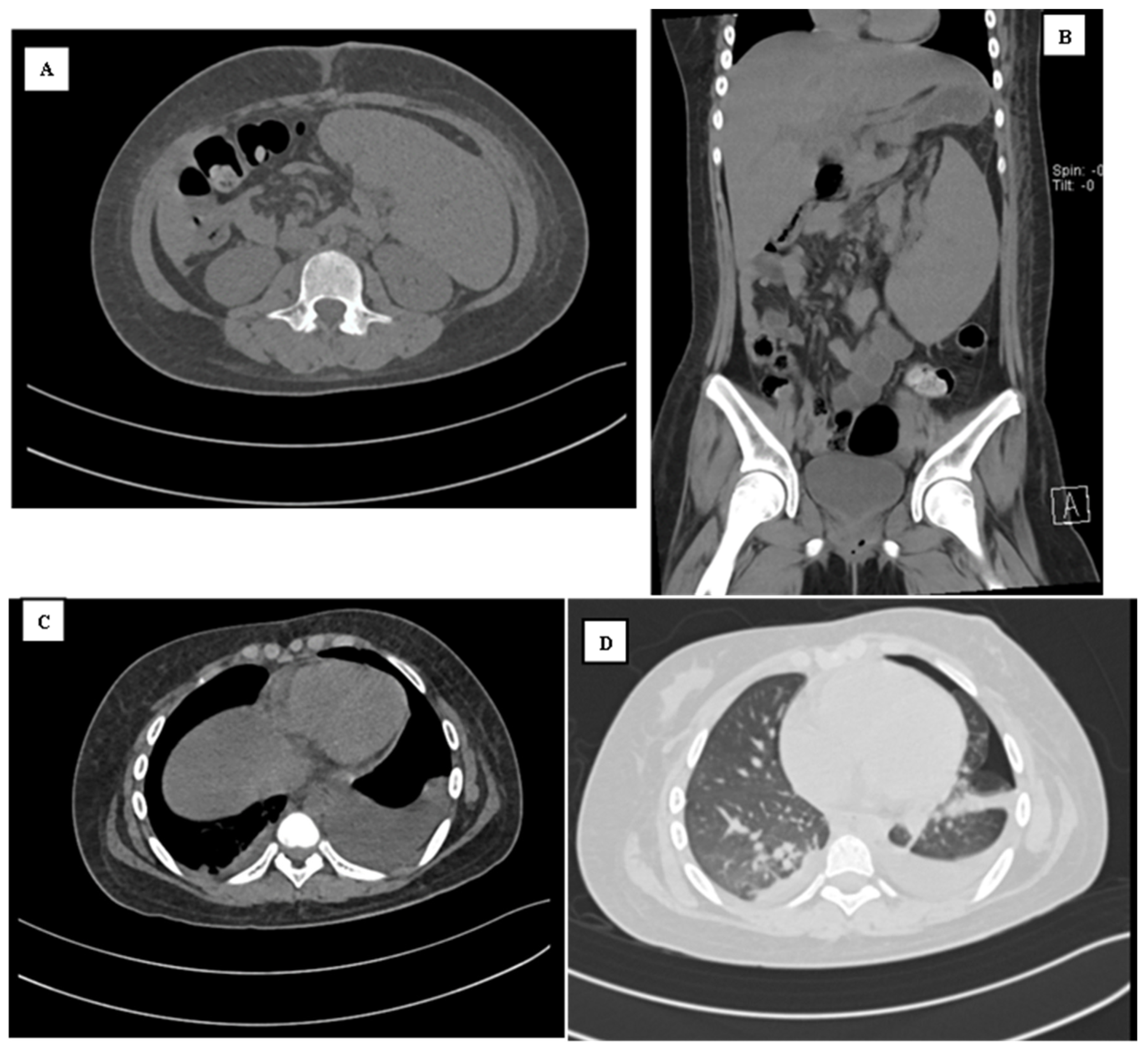 Reports 07 00073 g002 Reports 07 00073 g002