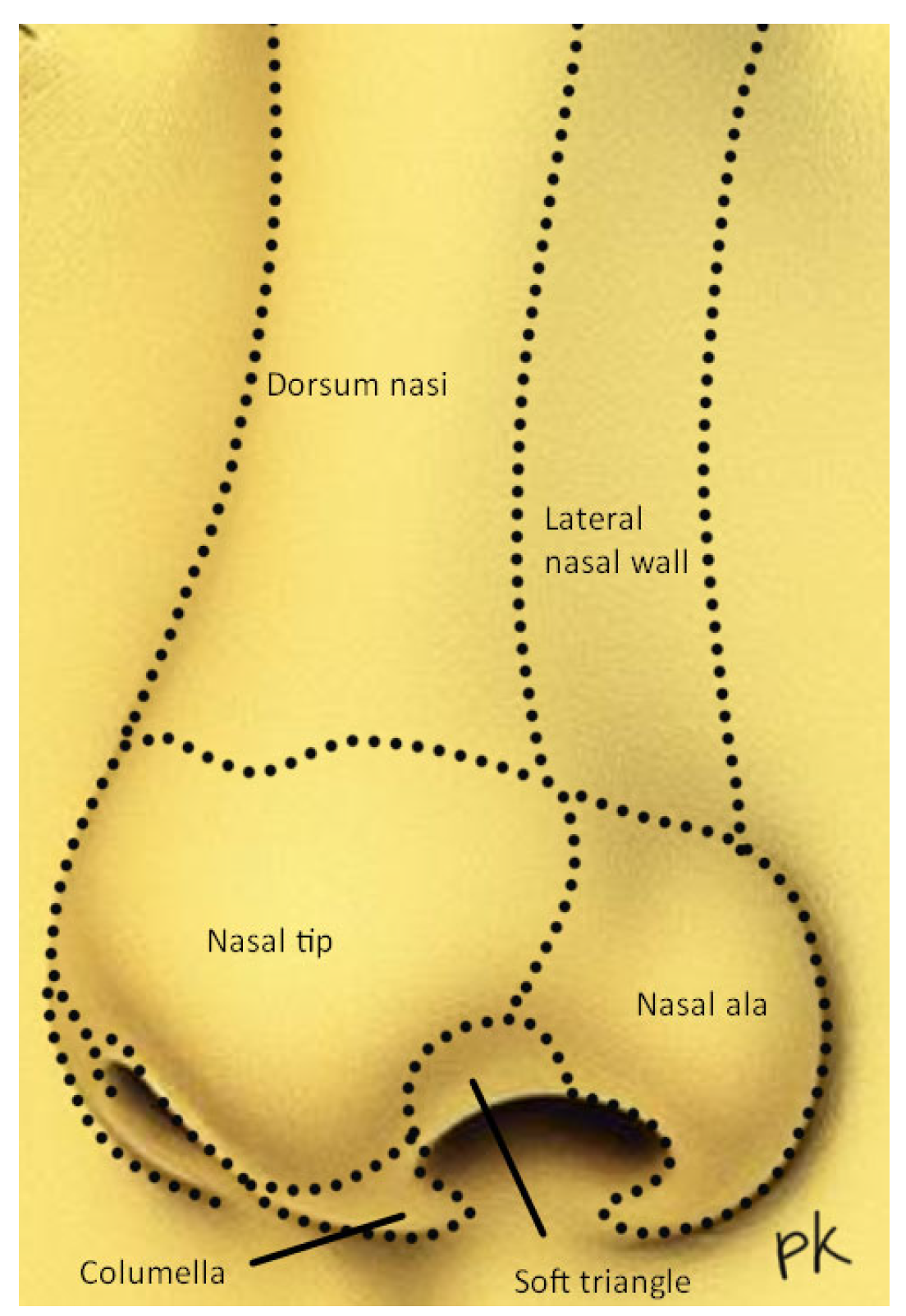 Reports 07 00075 g001