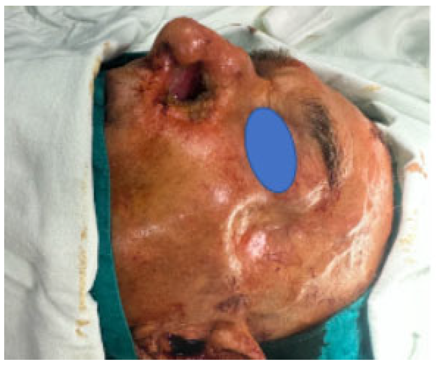 Reports 07 00075 g002