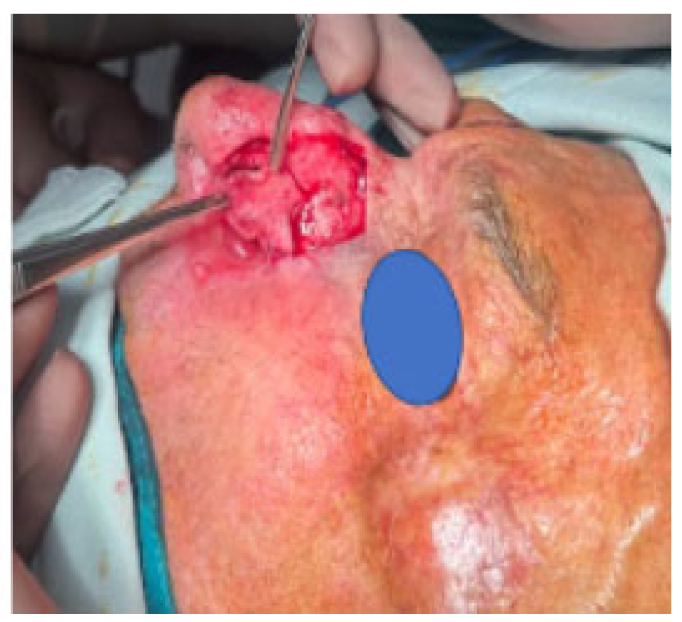 Reports 07 00075 g003