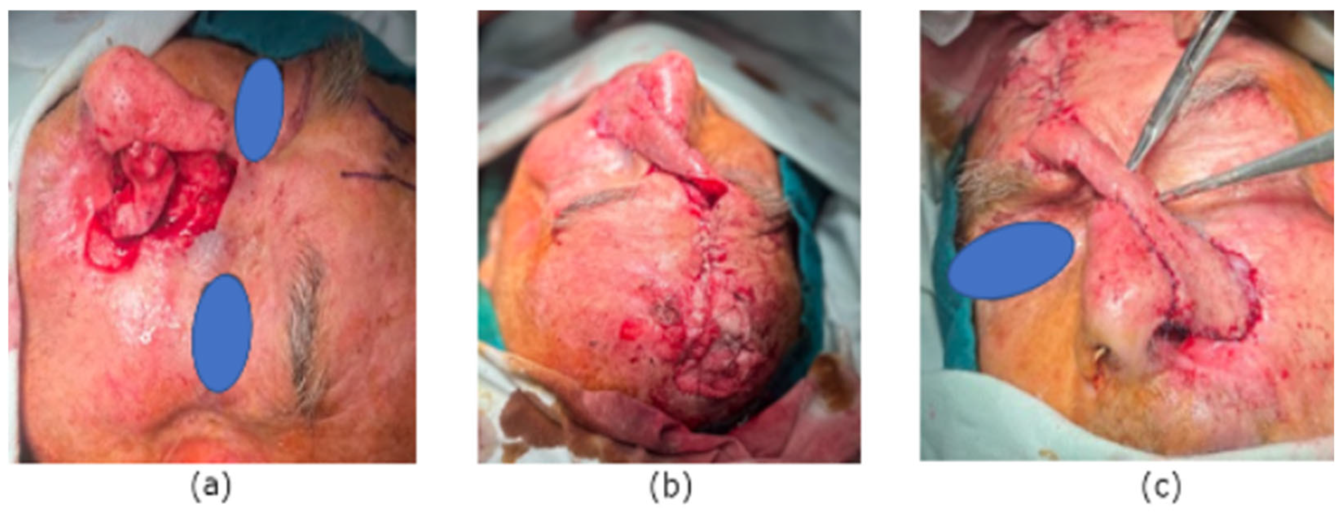 Reports 07 00075 g004