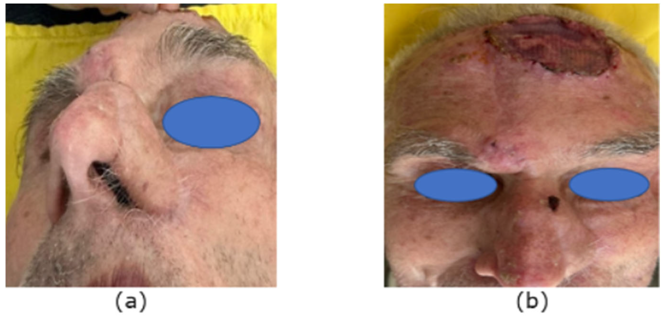 Reports 07 00075 g006