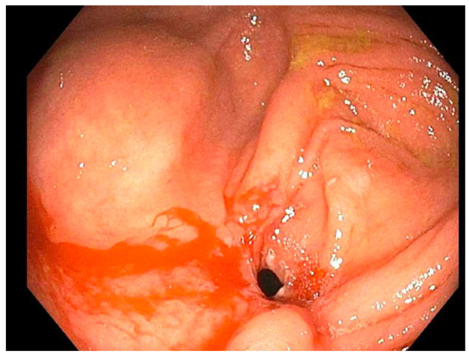 Reports 07 00081 g001 Reports 07 00081 g001