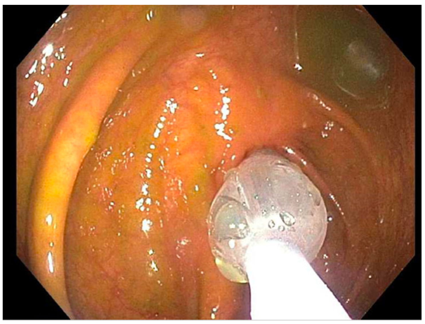 Reports 07 00081 g003 Reports 07 00081 g003