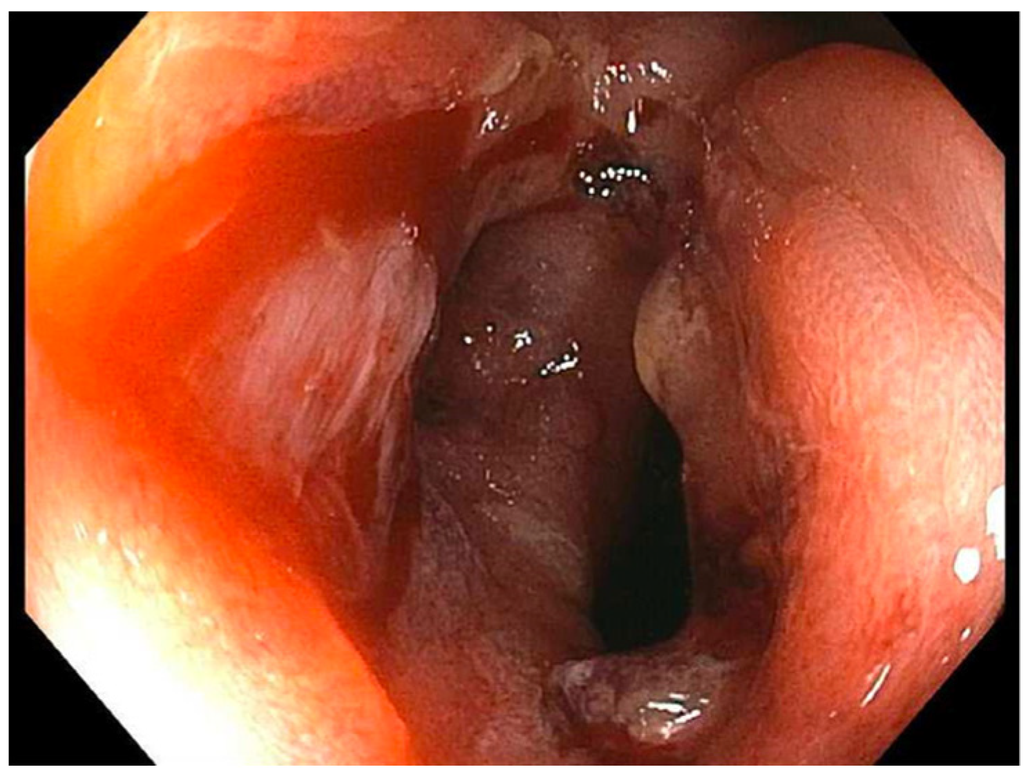 Reports 07 00081 g004 Reports 07 00081 g004