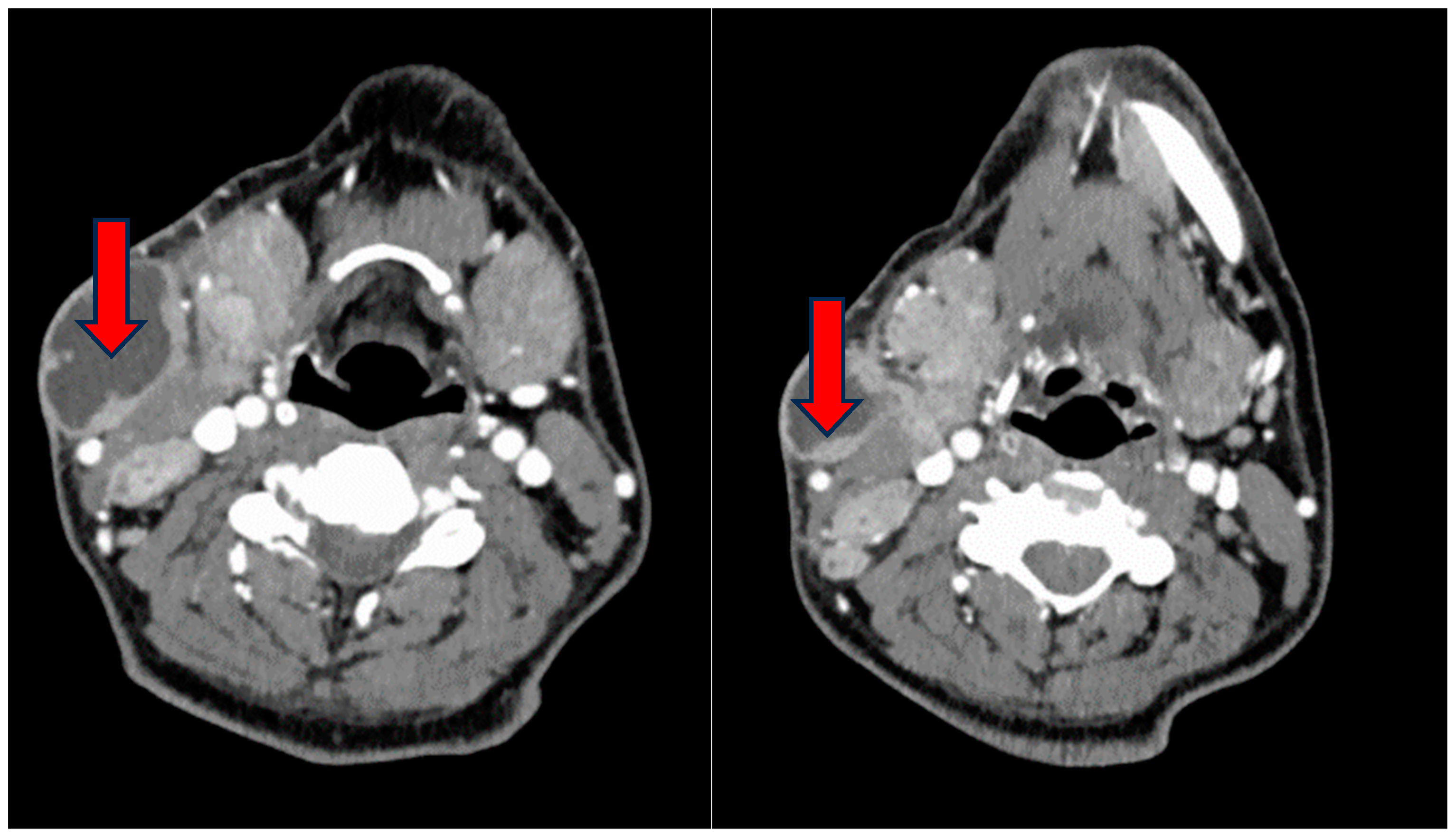 Reports 07 00082 g001