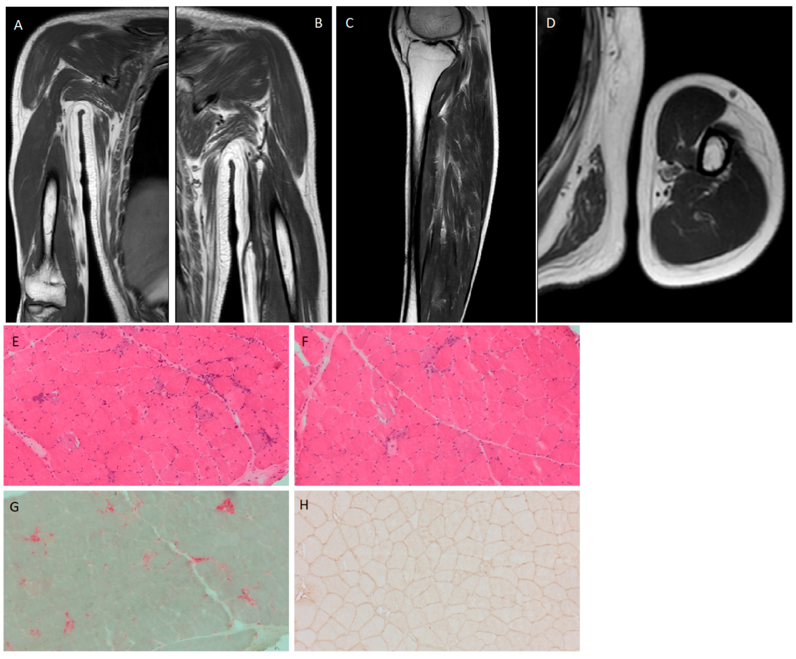 Reports 07 00082 g002