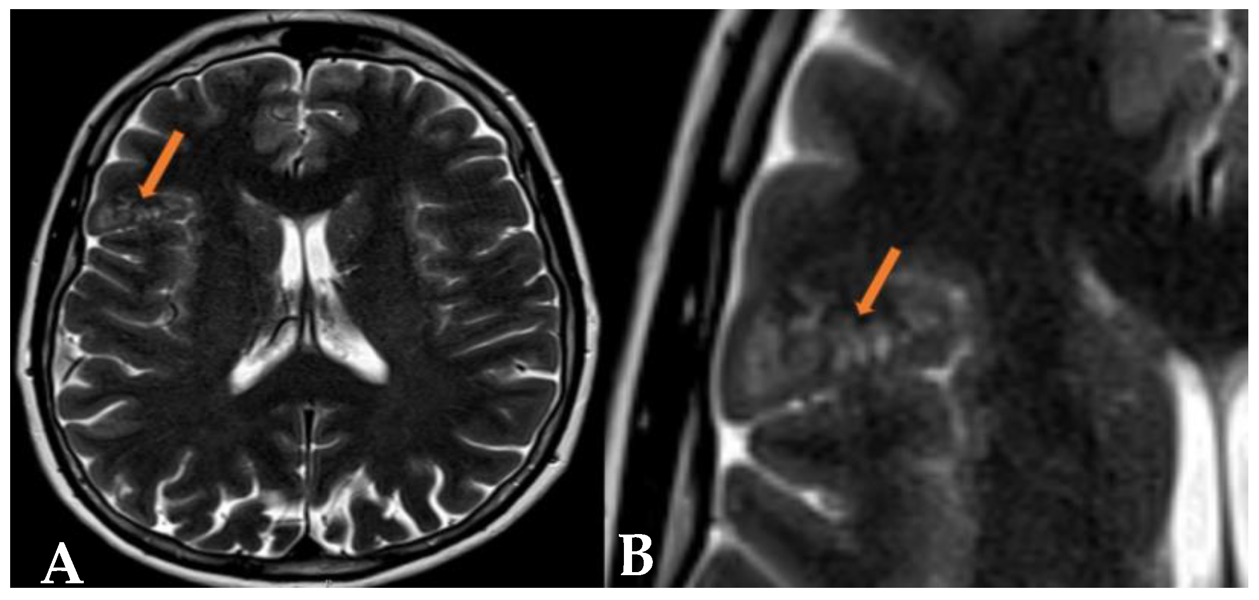 Reports 07 00086 g001