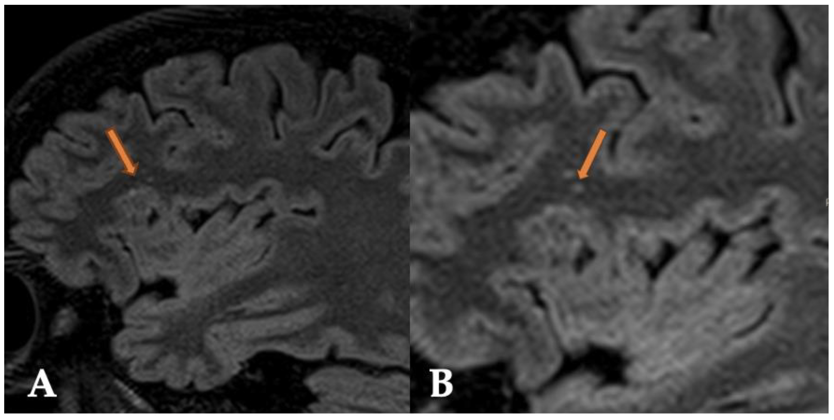 Reports 07 00086 g002