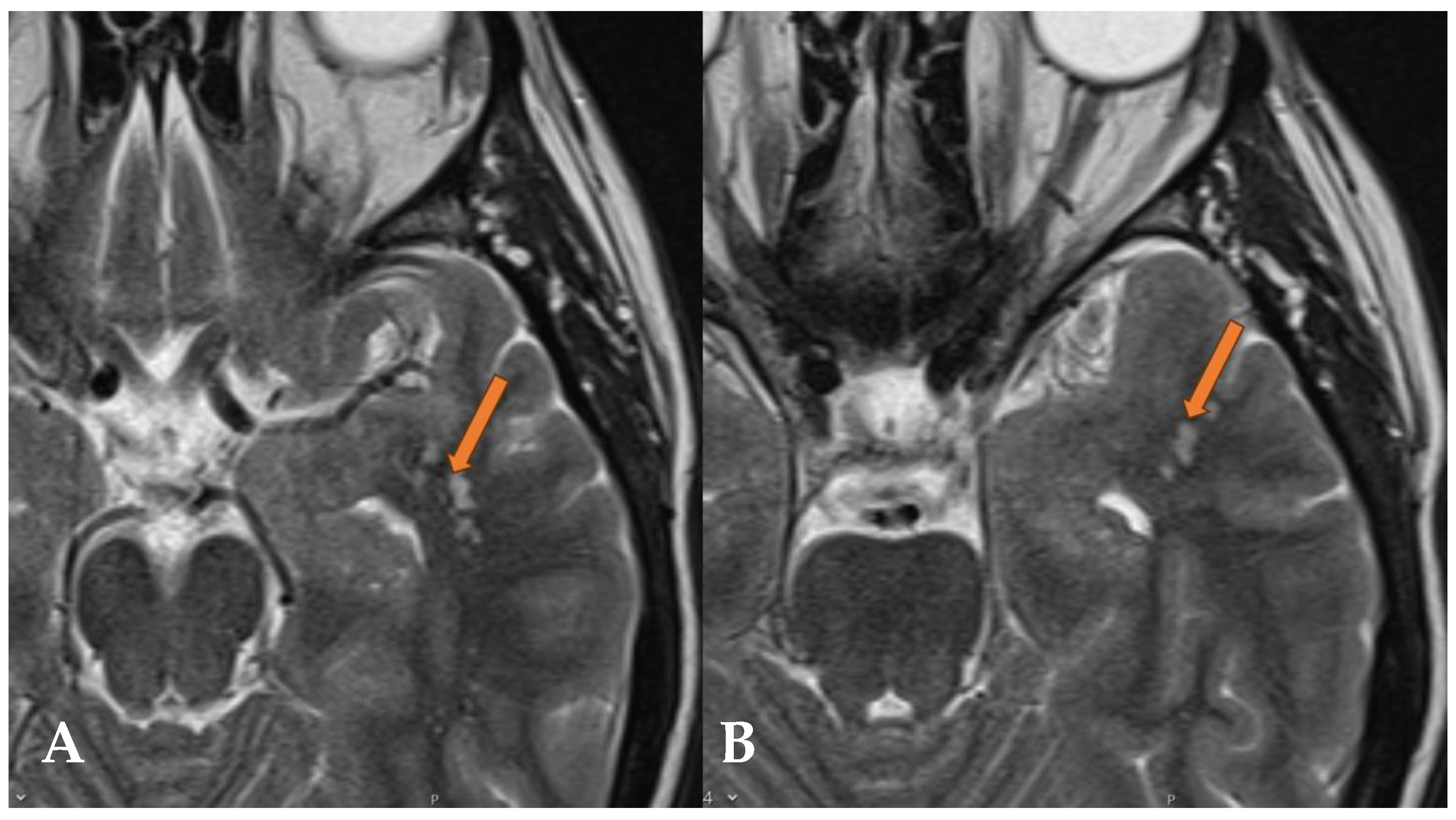 Reports 07 00086 g004