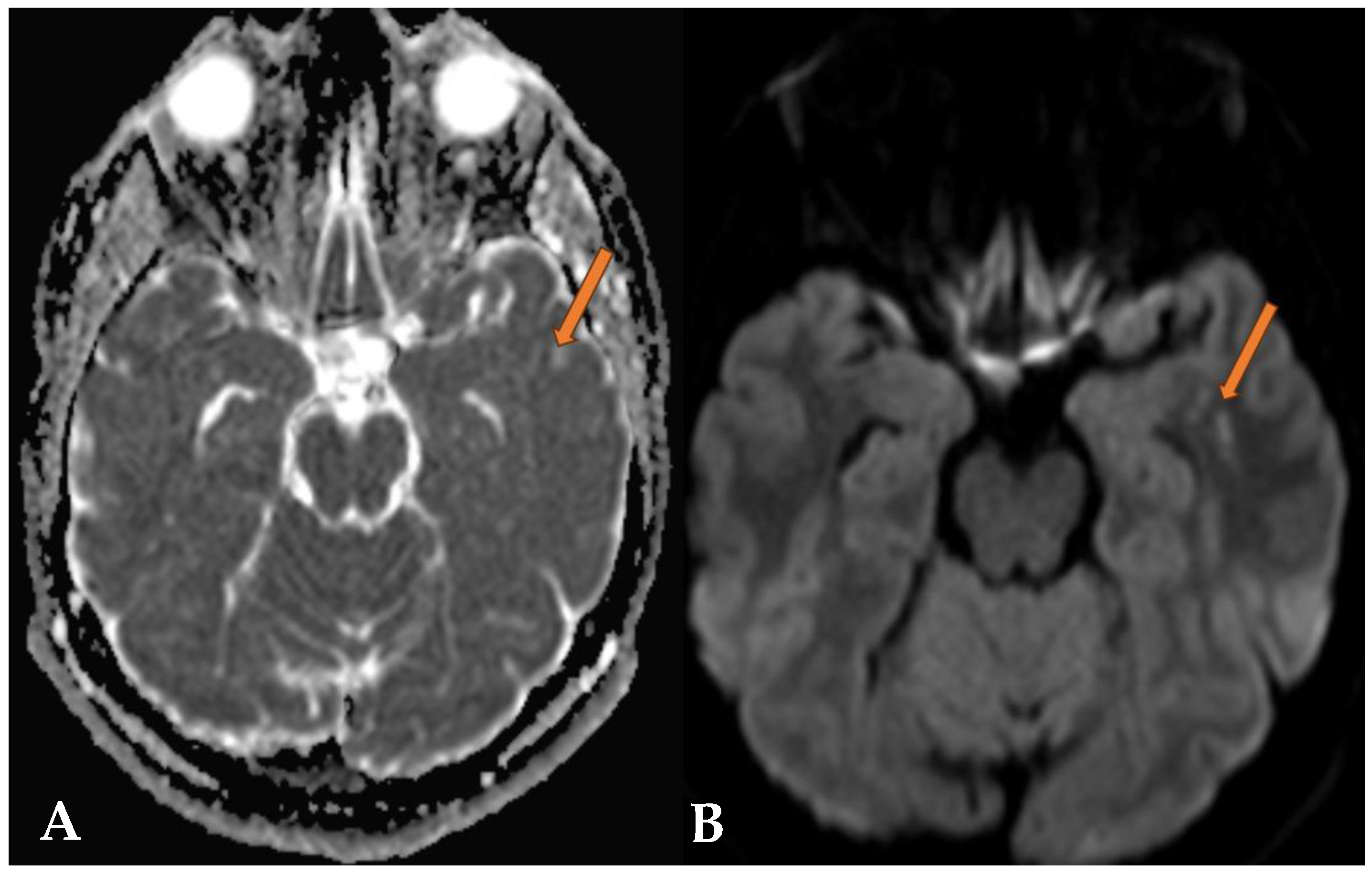 Reports 07 00086 g005