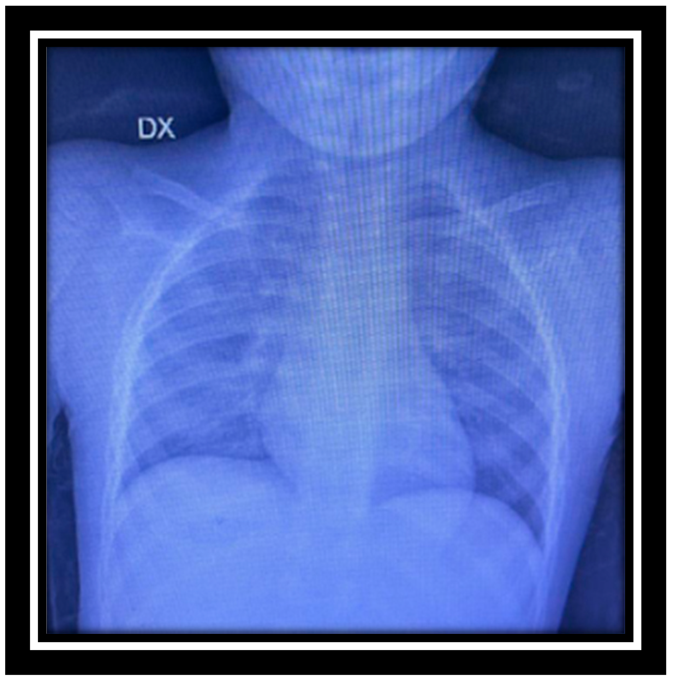 Reports 07 00090 g001