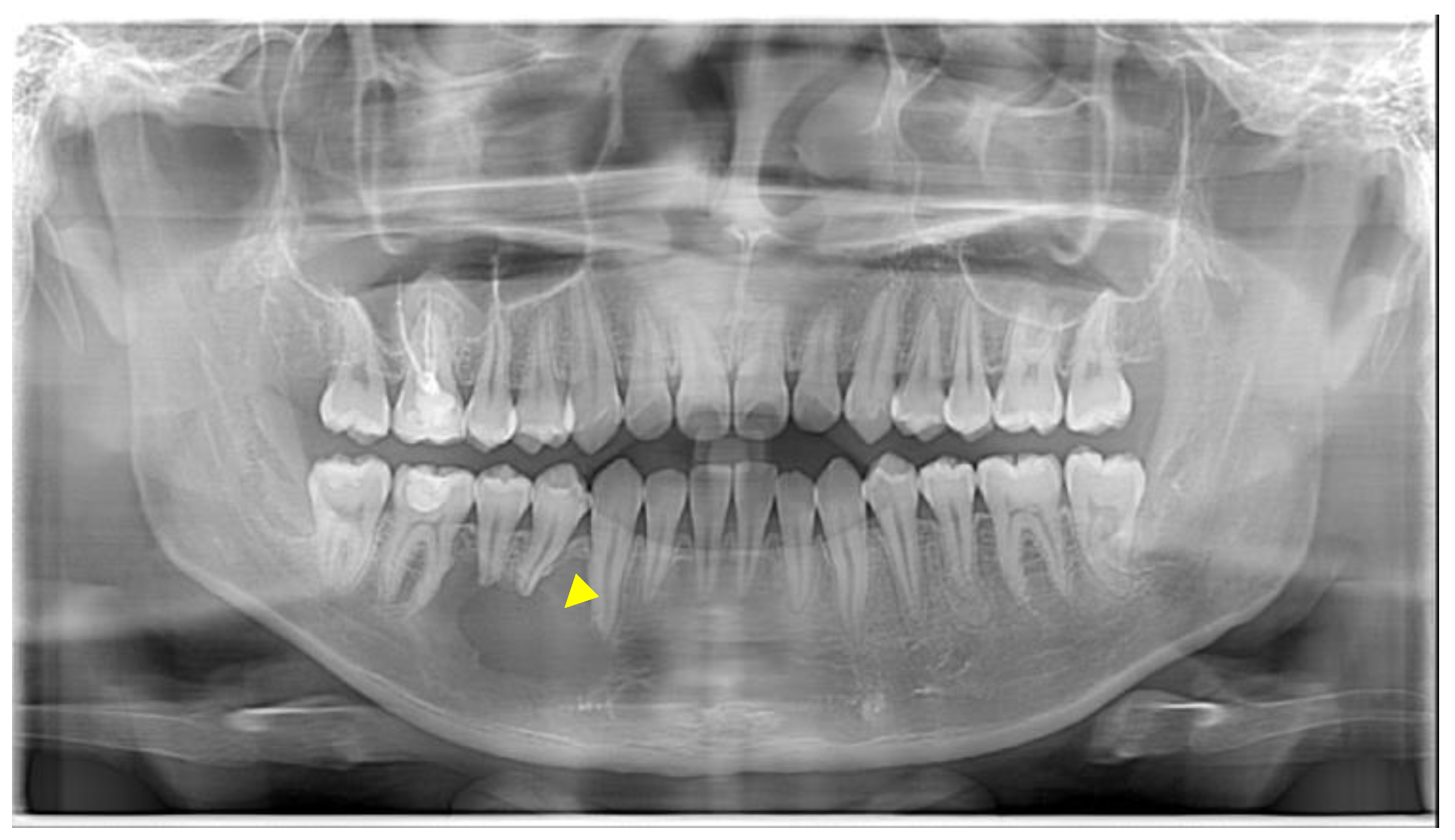 Reports 07 00093 g001