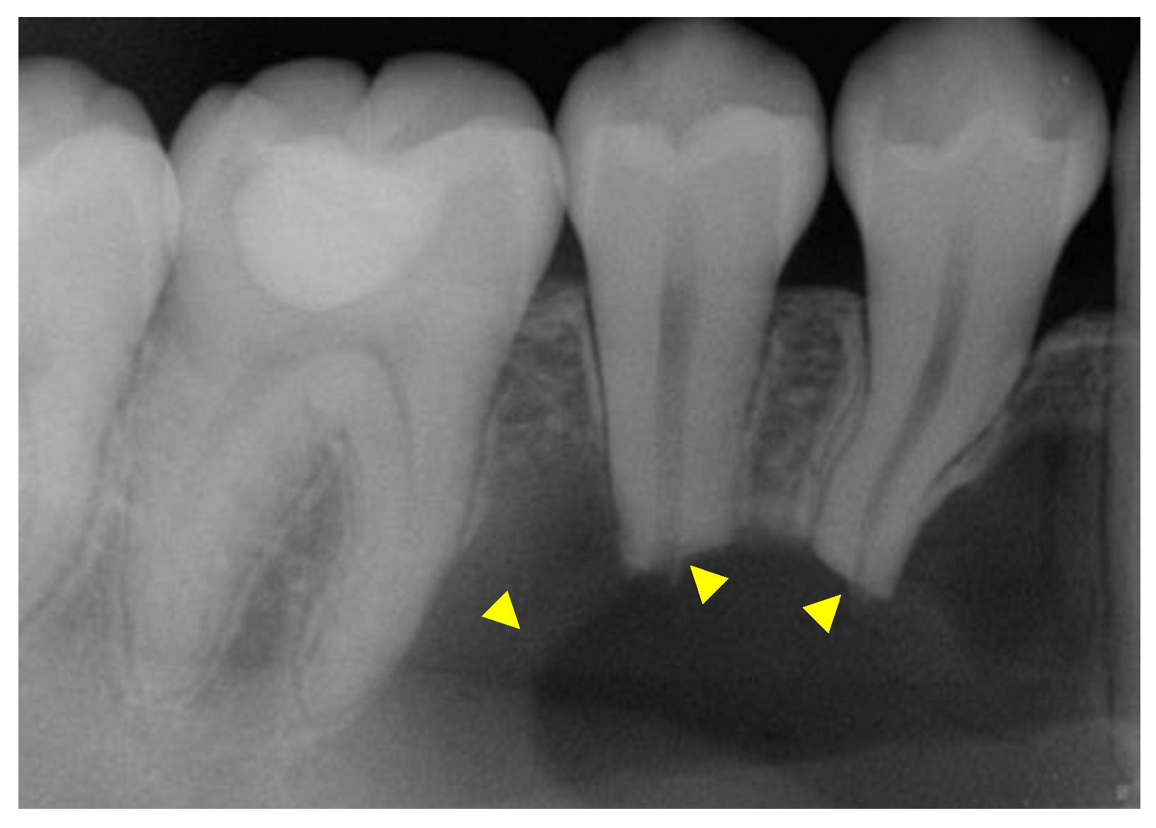 Reports 07 00093 g002