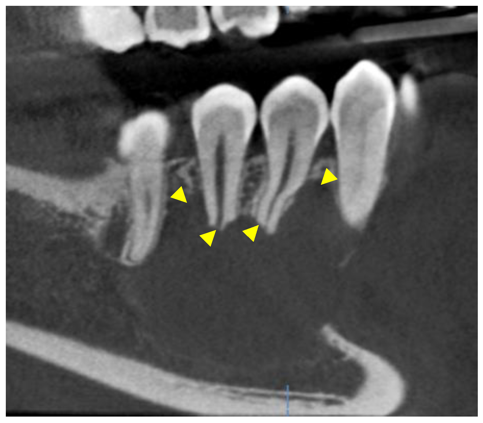 Reports 07 00093 g003