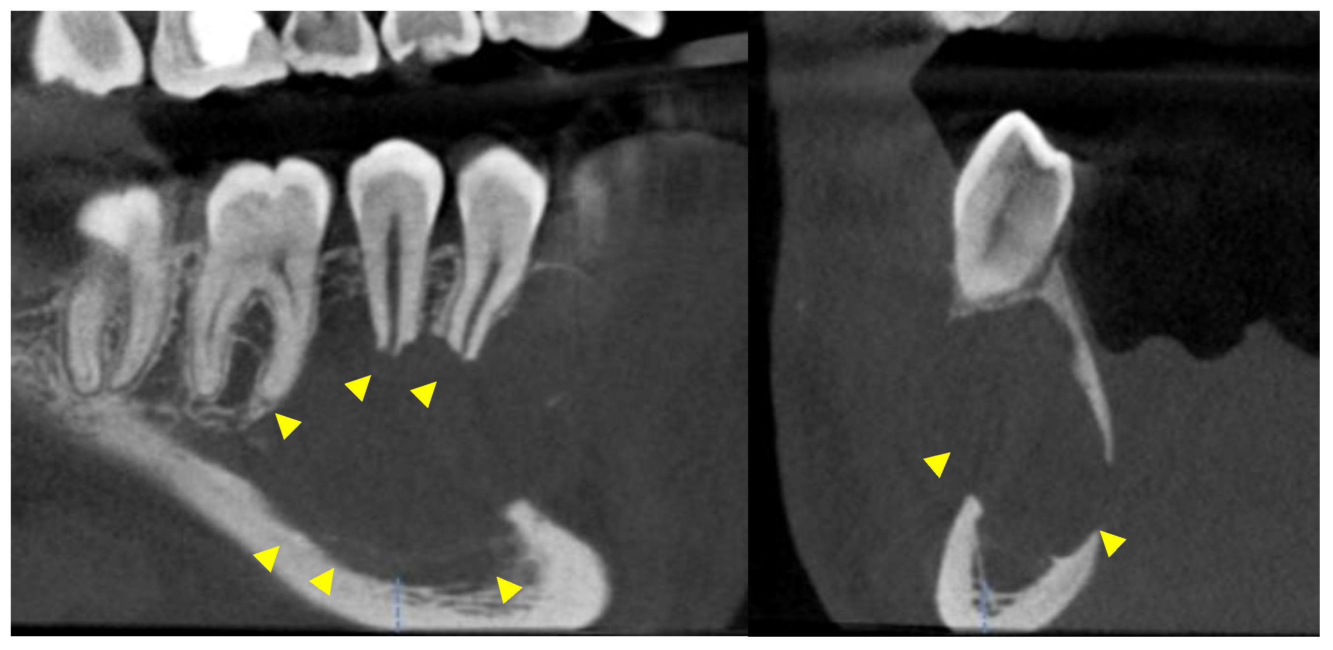 Reports 07 00093 g004