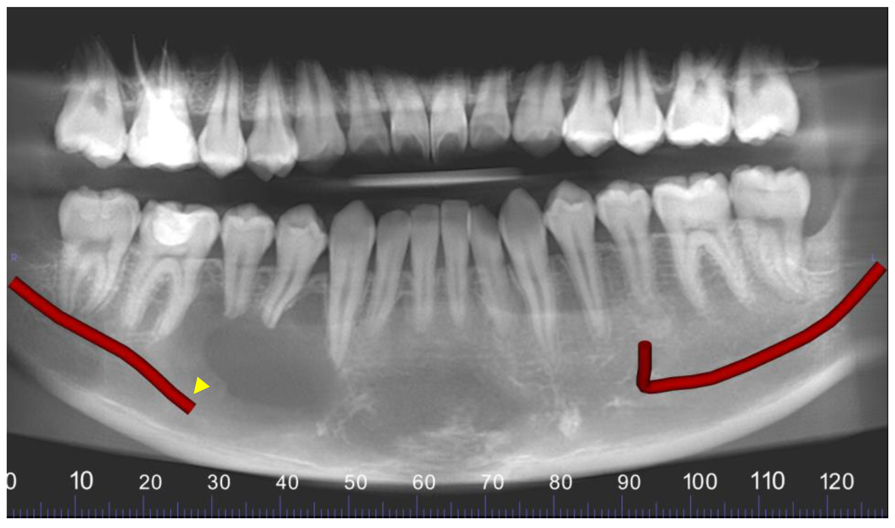 Reports 07 00093 g005