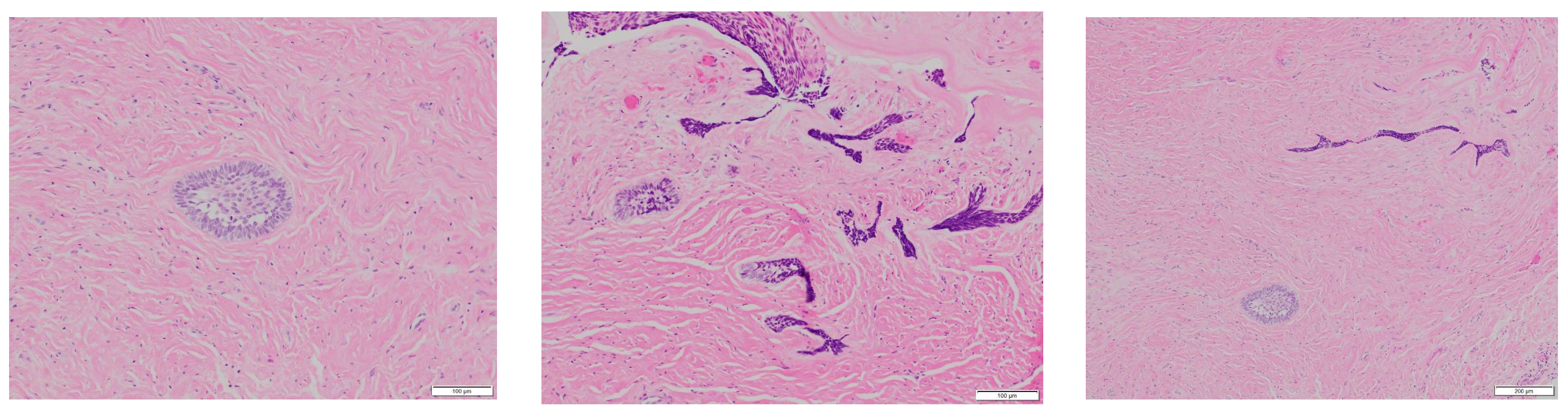 Reports 07 00093 g007