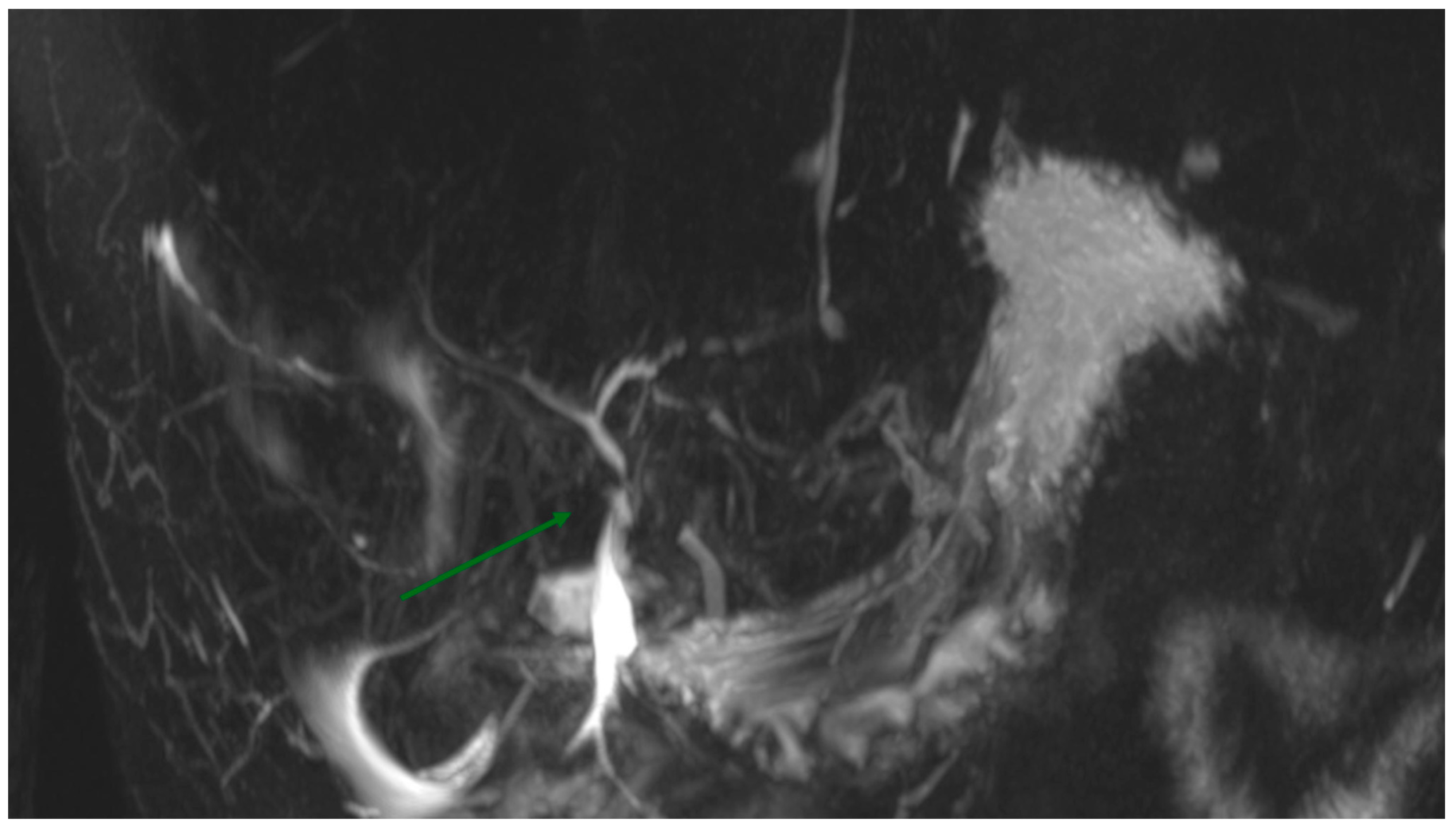 Reports 07 00095 g001