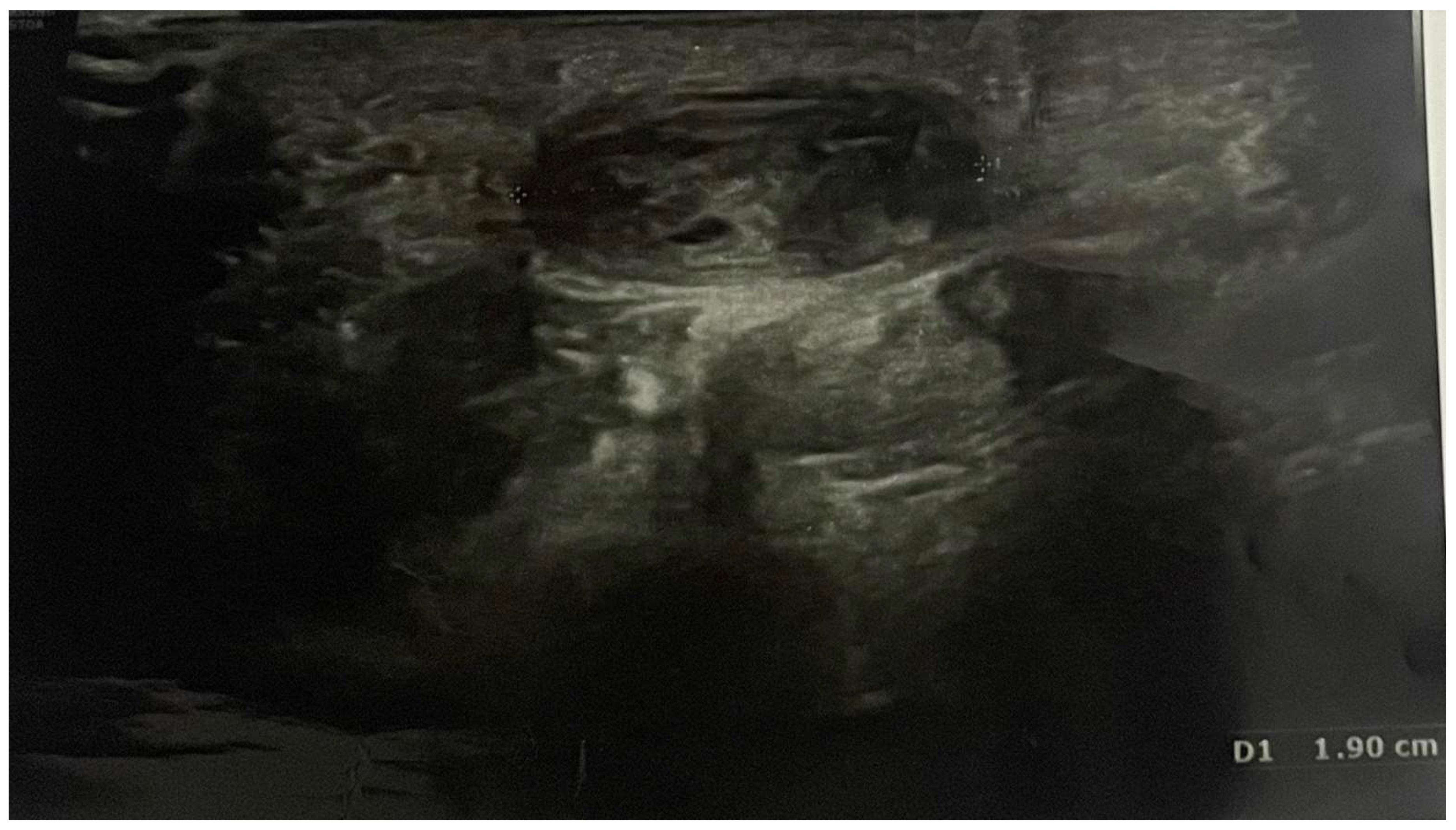 Reports 07 00101 g001